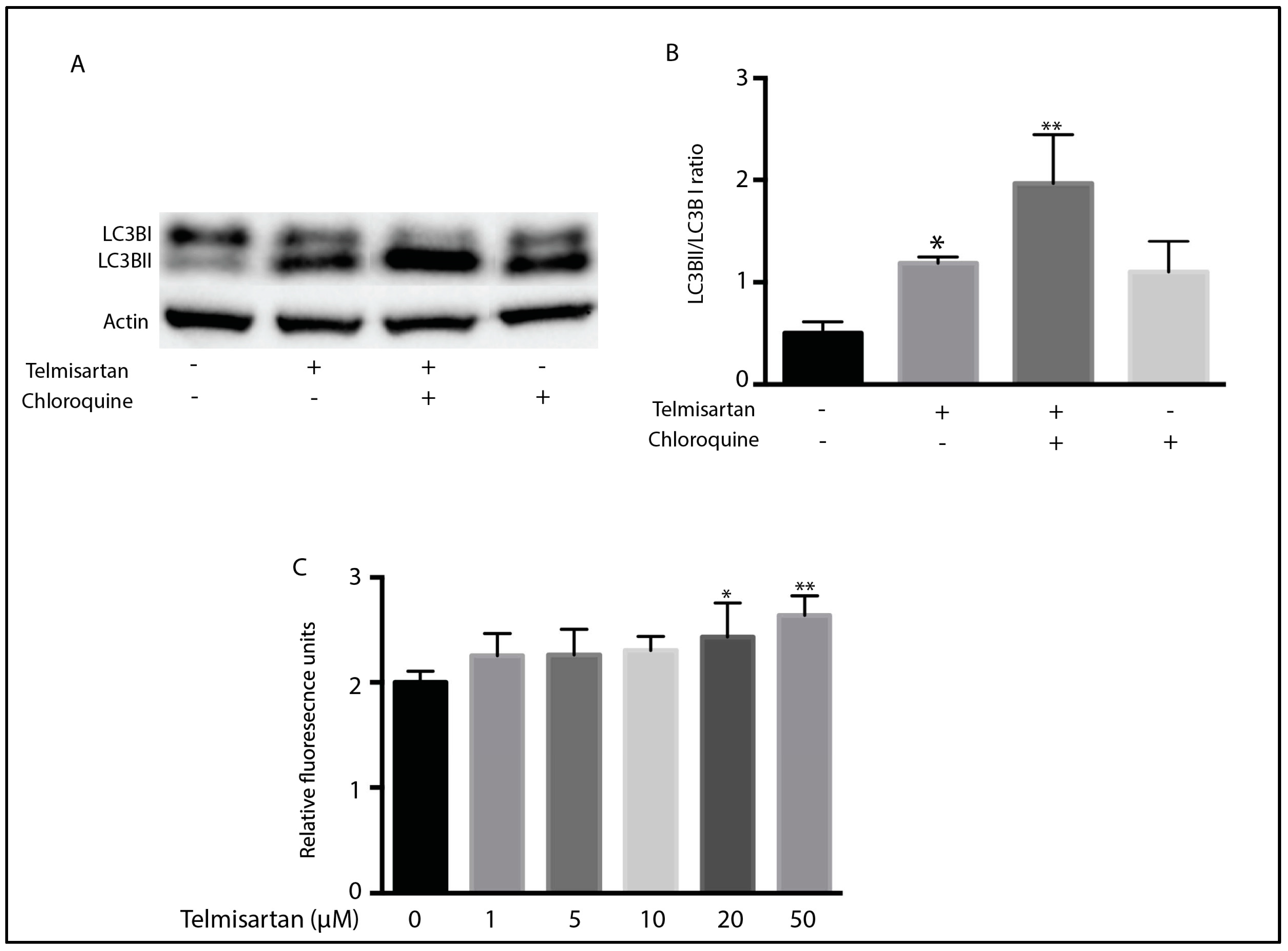 Neuroglia 05 00014 g006