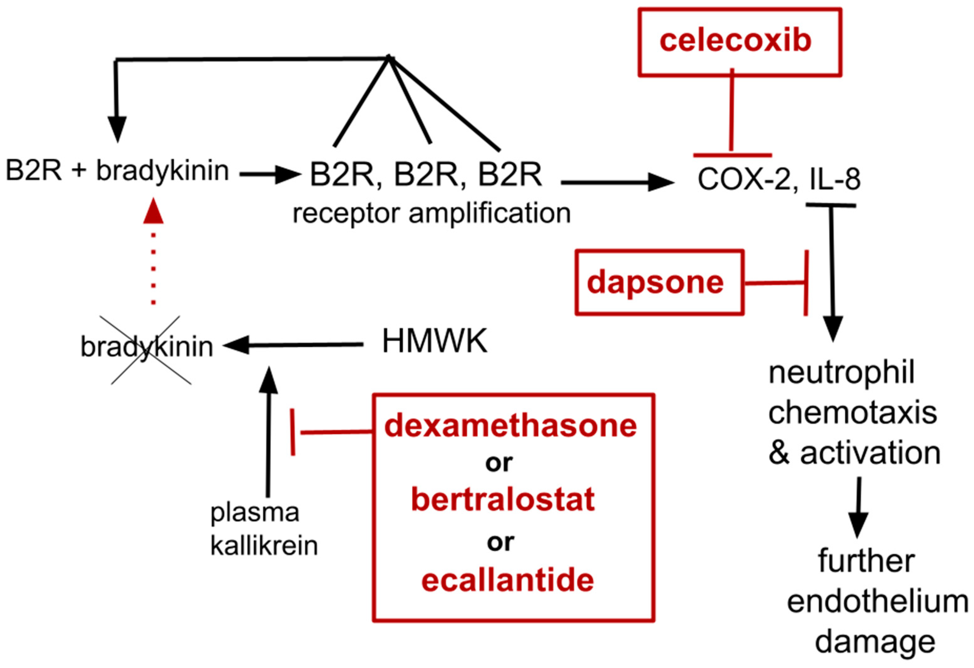 Neuroglia 05 00016 g002
