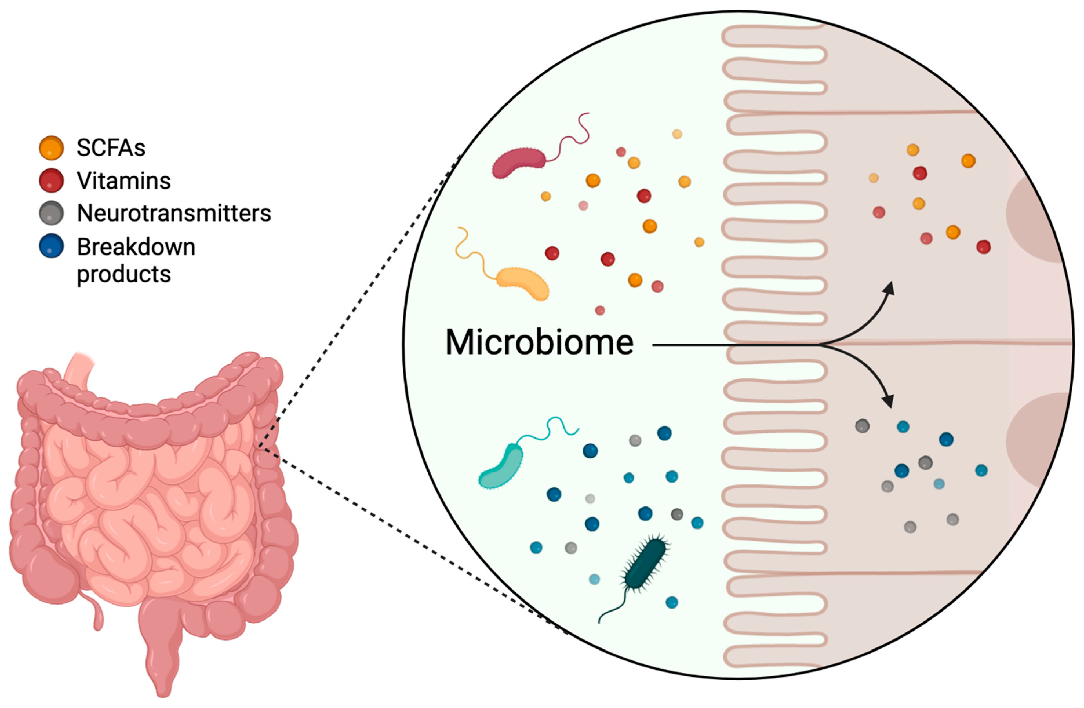 Neuroglia 05 00018 g001