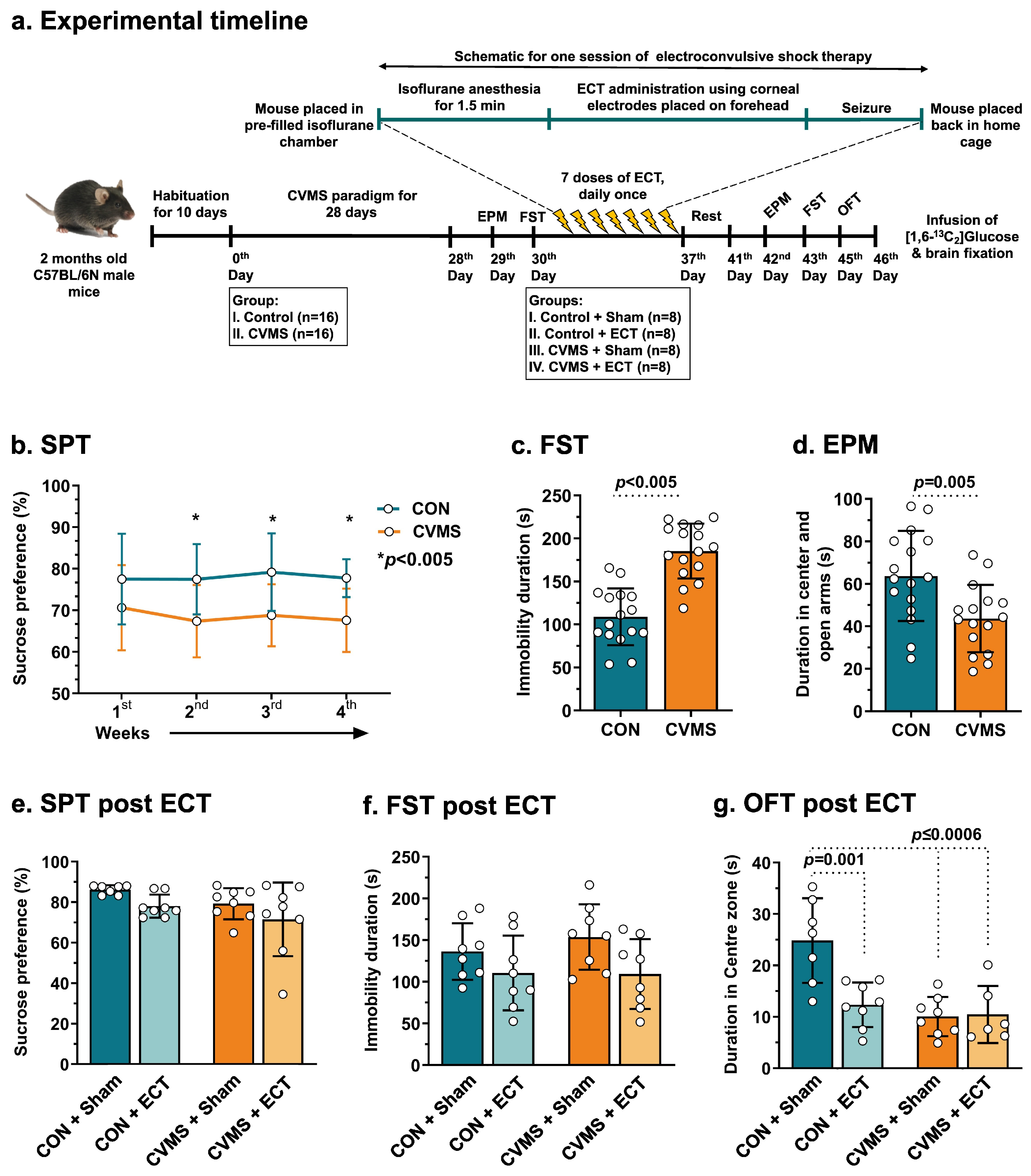 Neuroglia 05 00021 g004