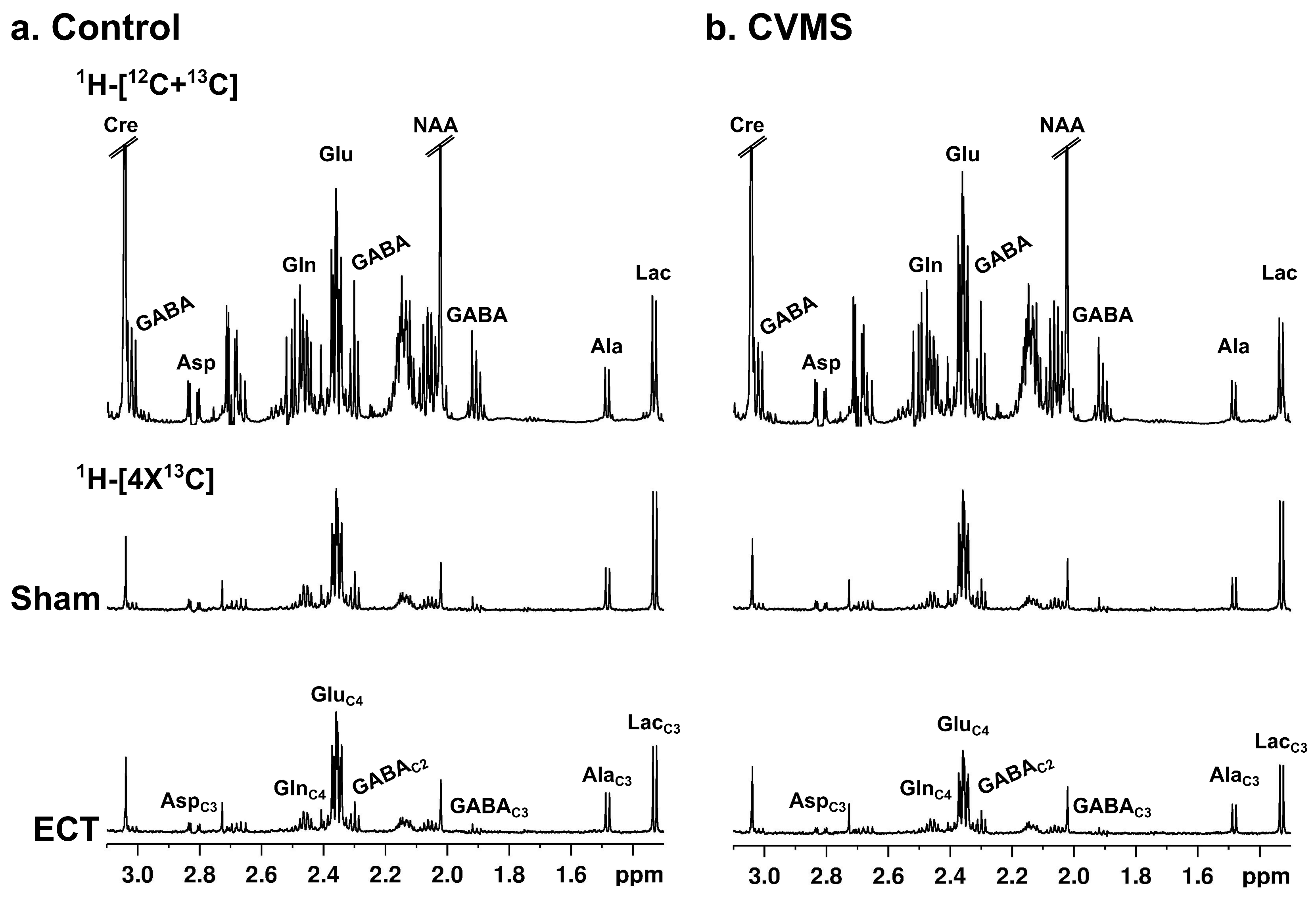 Neuroglia 05 00021 g005