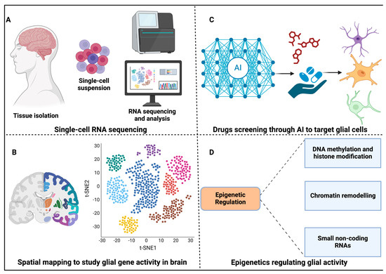 Neuroglia 05 00031 g003