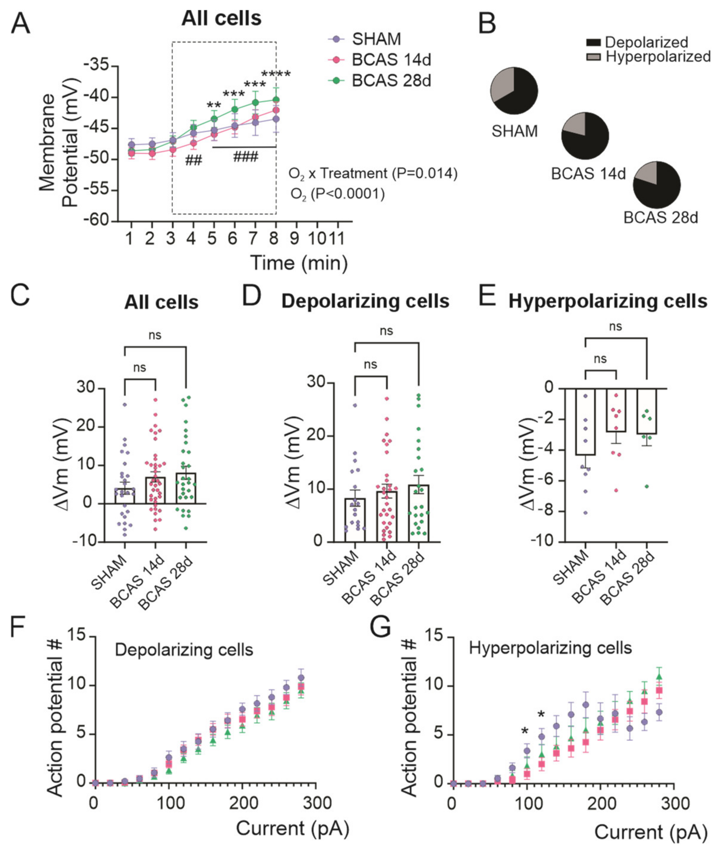 Neuroglia 05 00032 g002