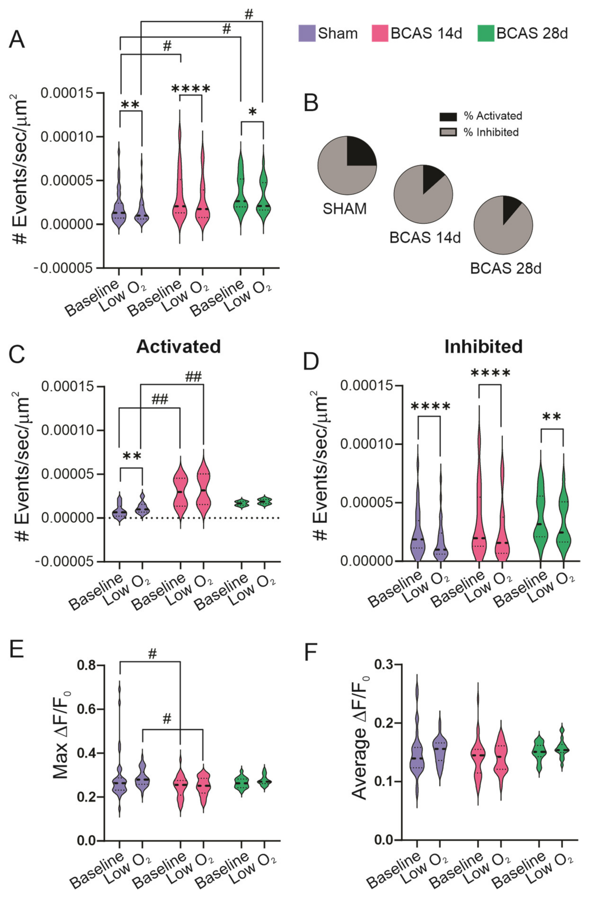 Neuroglia 05 00032 g005