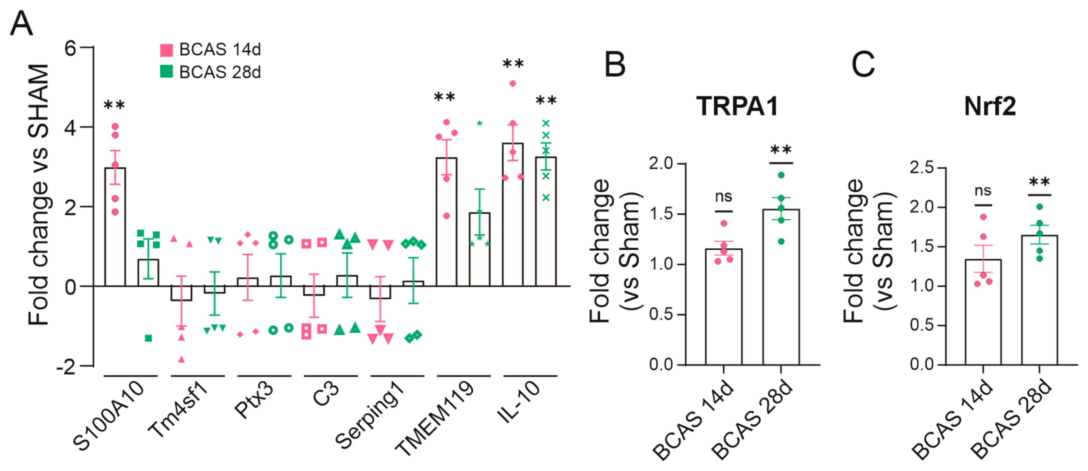 Neuroglia 05 00032 g008