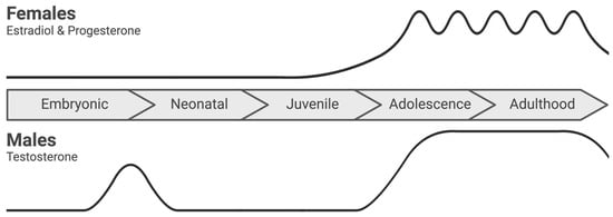 Neuroglia 06 00002 g001