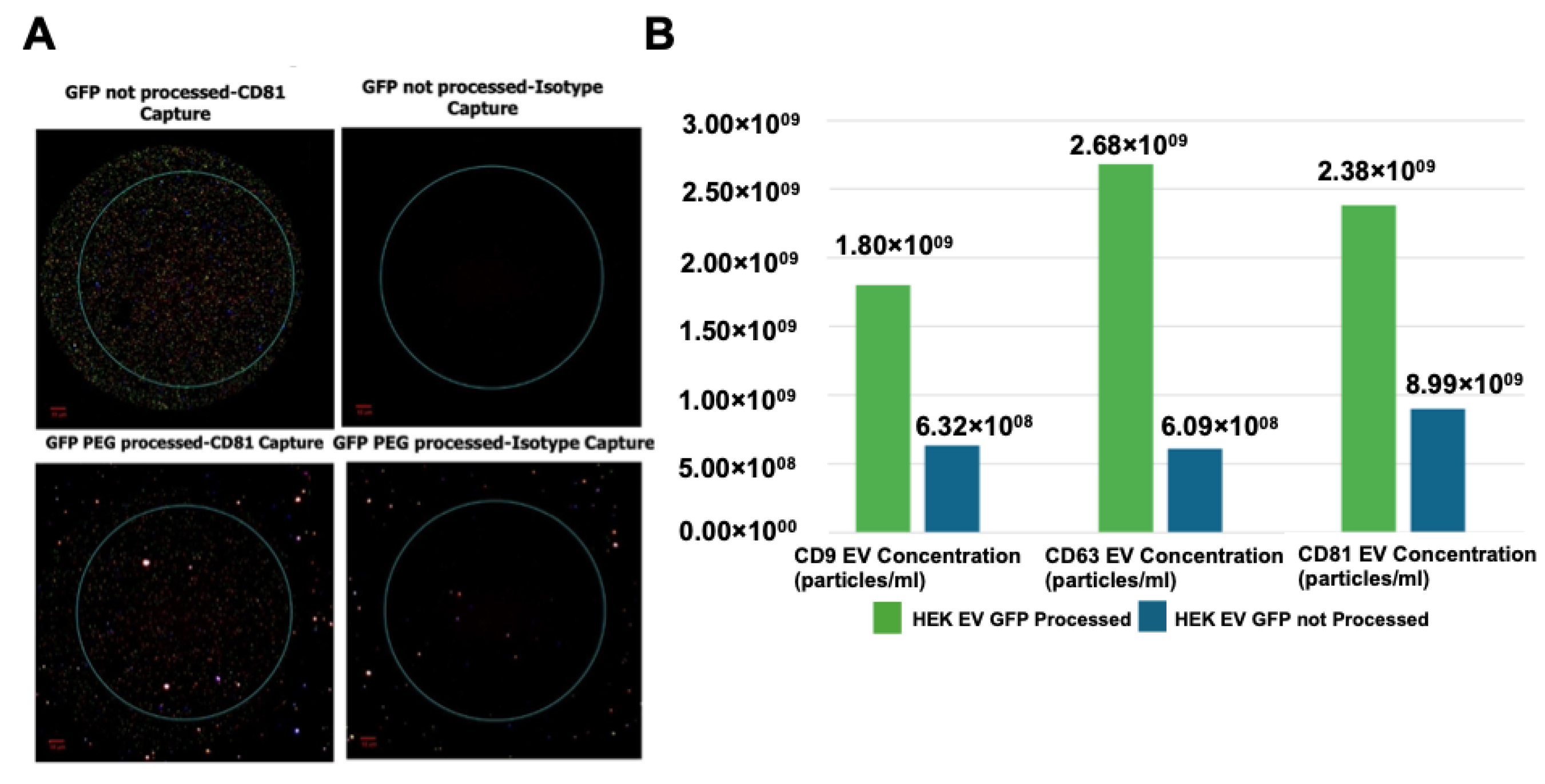 Neuroglia 06 00003 g002