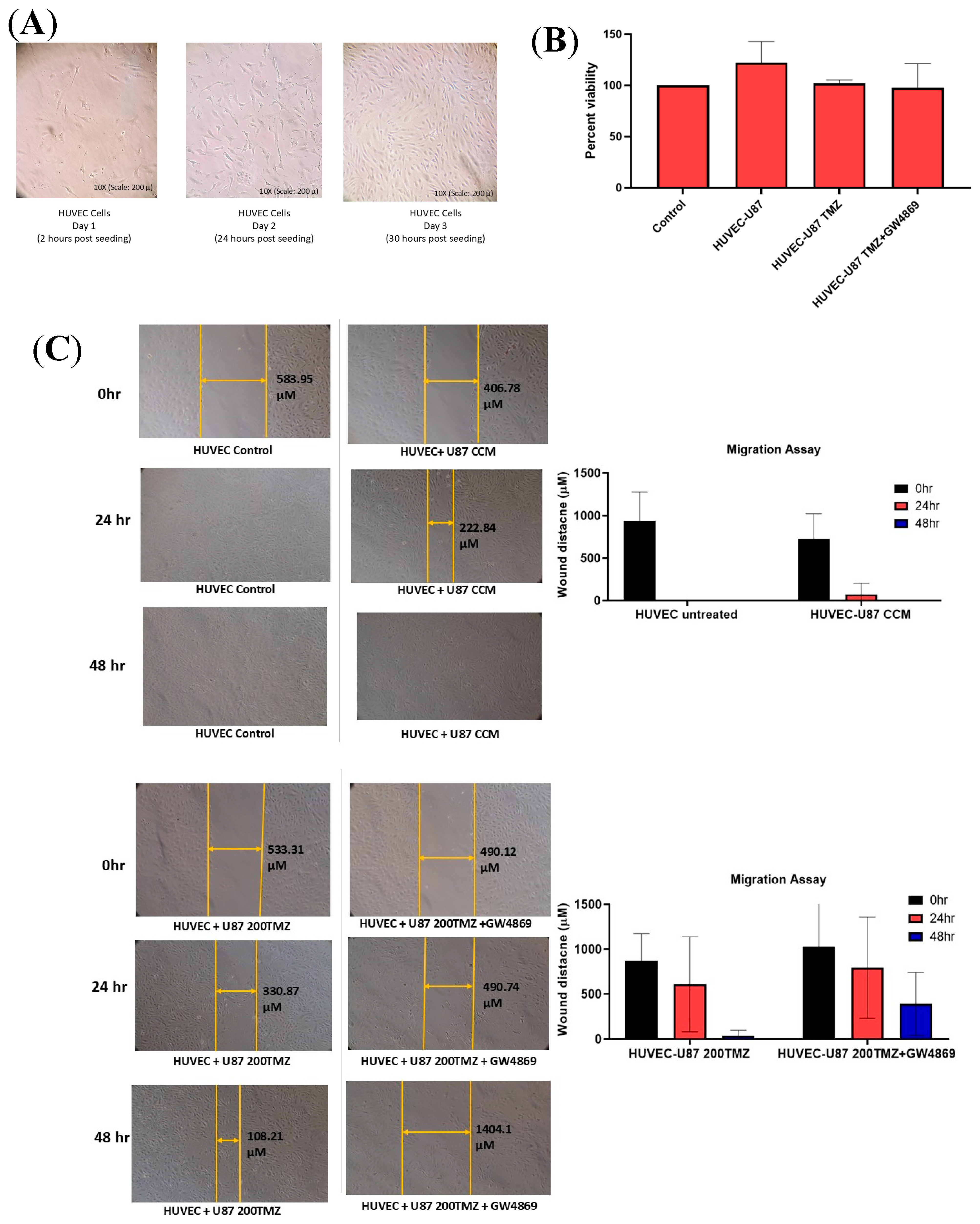 Neuroglia 06 00008 g003a