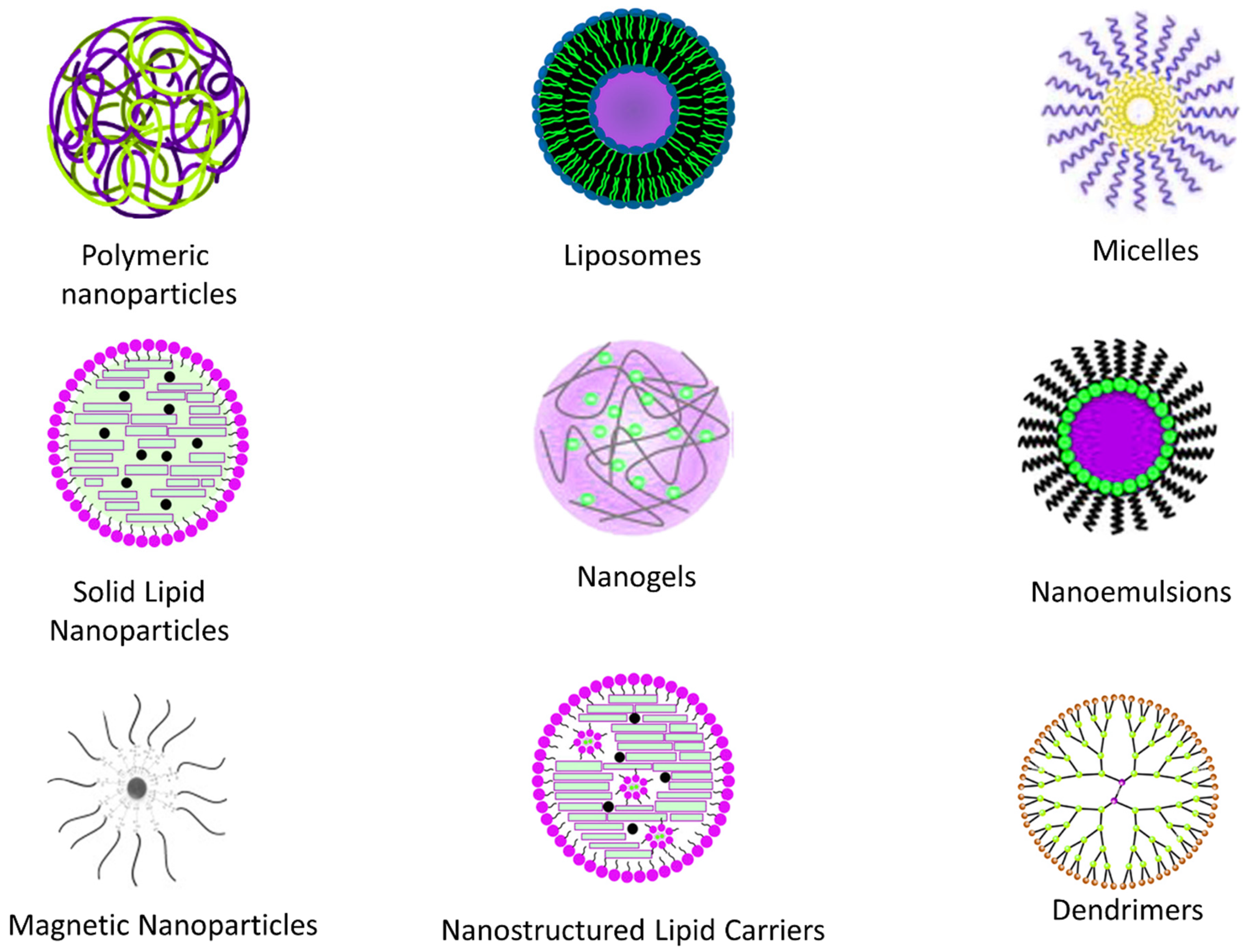 Neuroglia 06 00009 g002