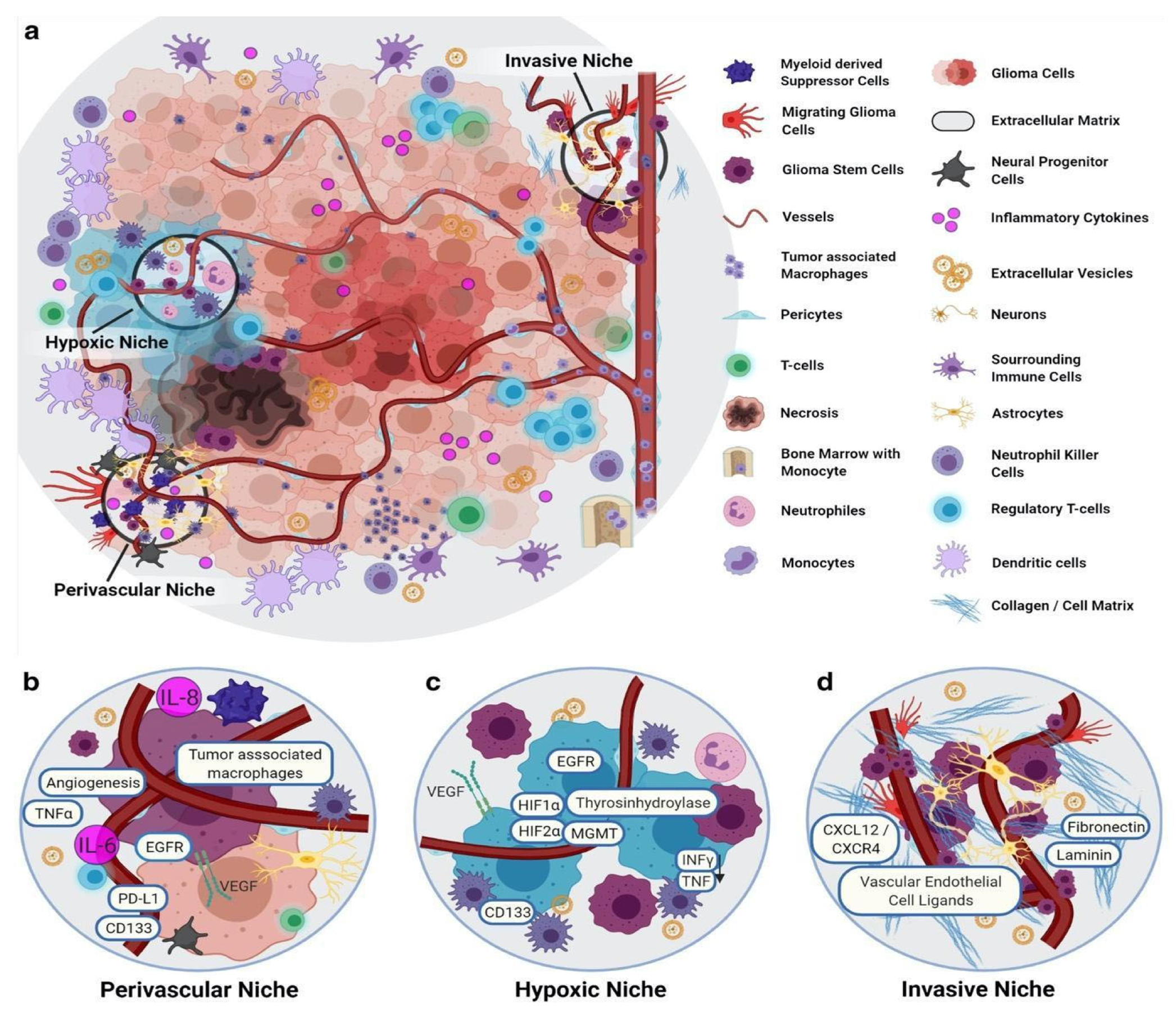 Neuroglia 06 00013 g001 Neuroglia 06 00013 g001