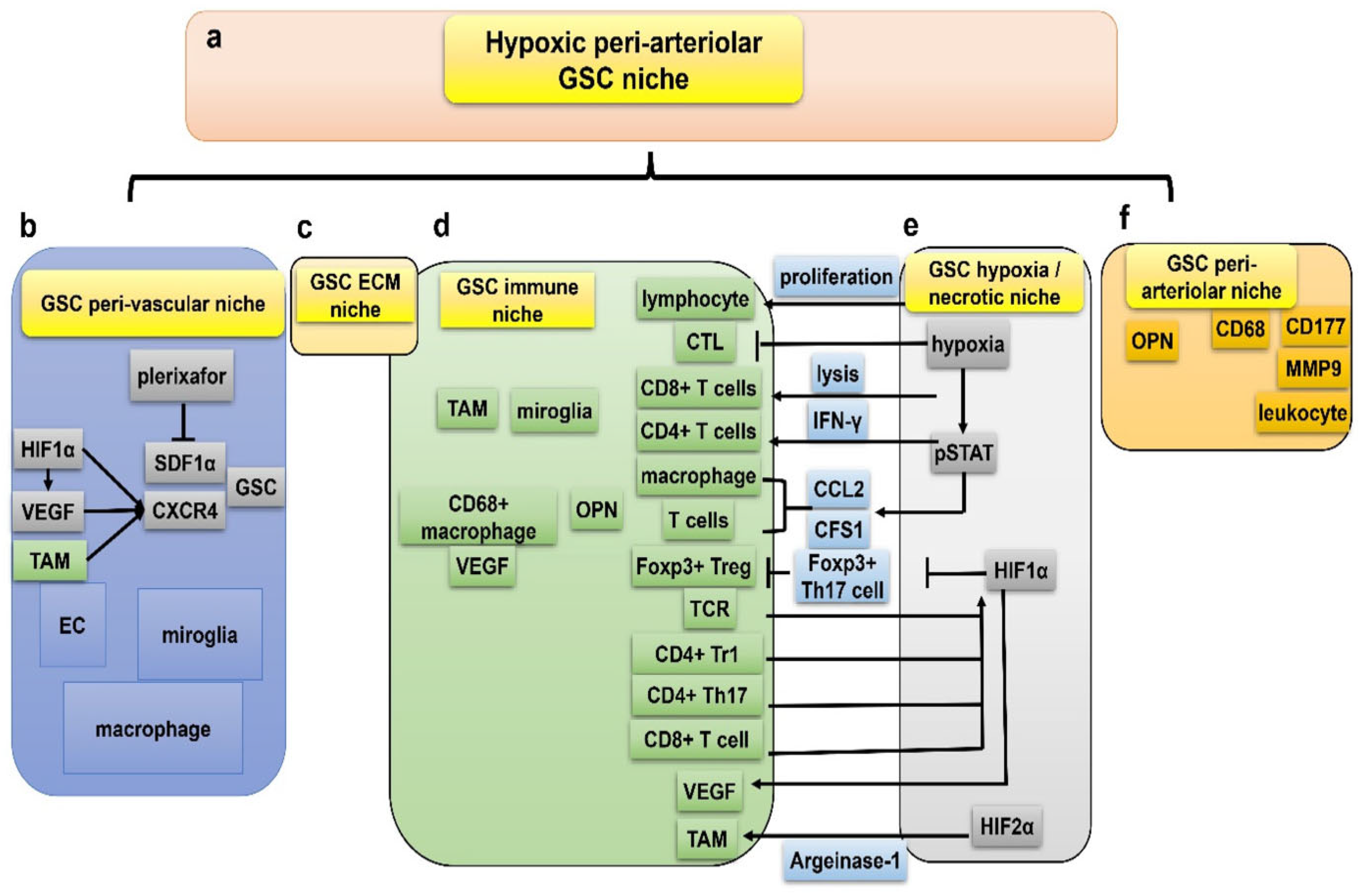 Neuroglia 06 00013 g002 Neuroglia 06 00013 g002