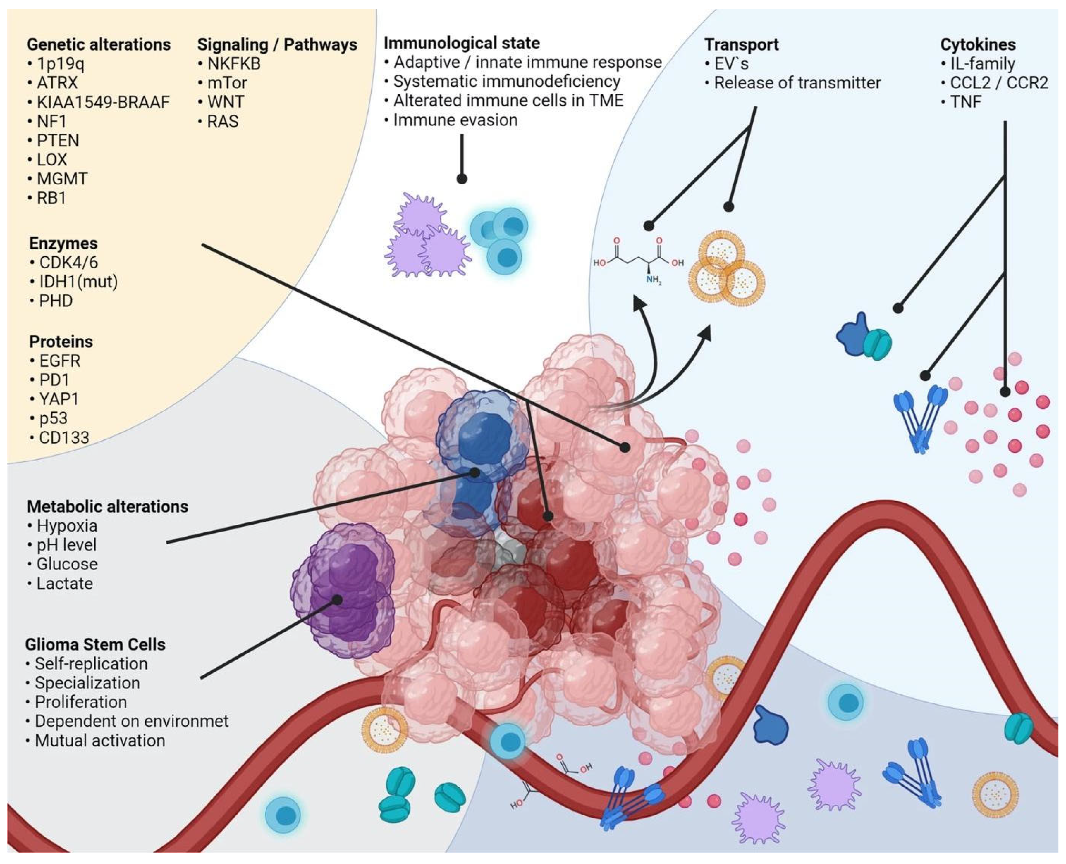 Neuroglia 06 00013 g003 Neuroglia 06 00013 g003