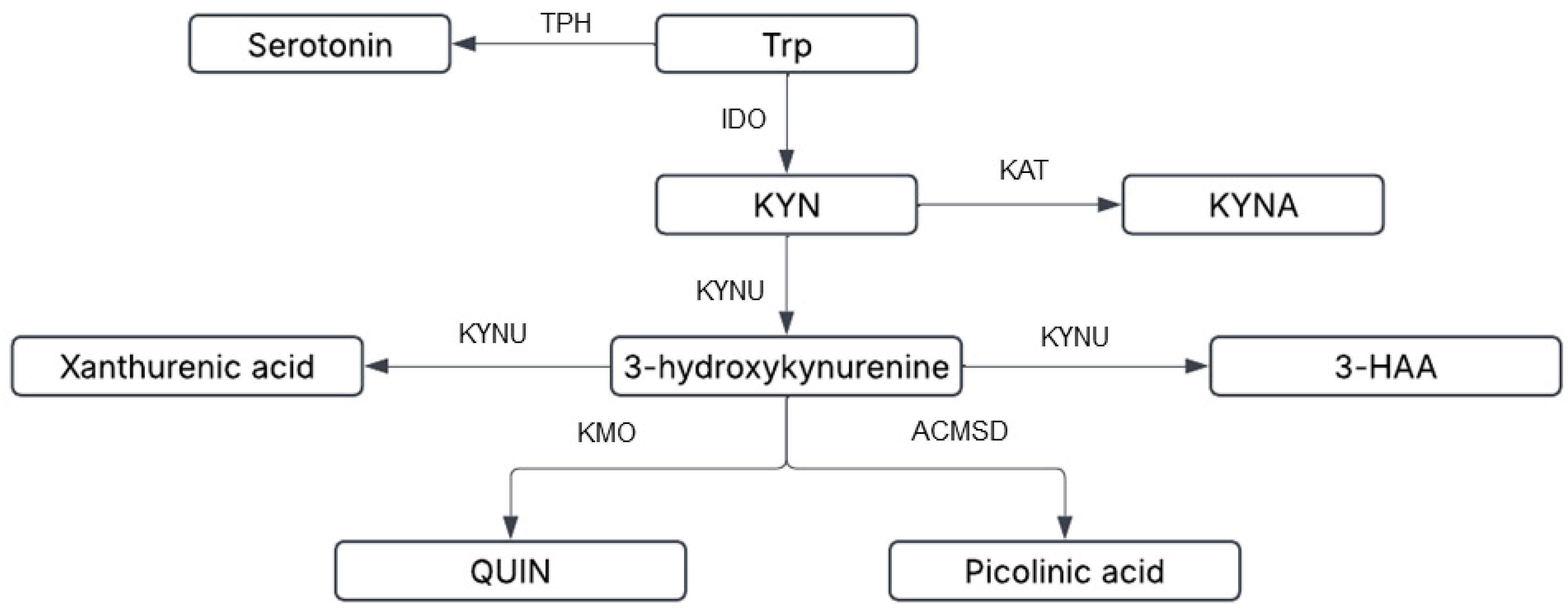Neuroglia 06 00014 g002