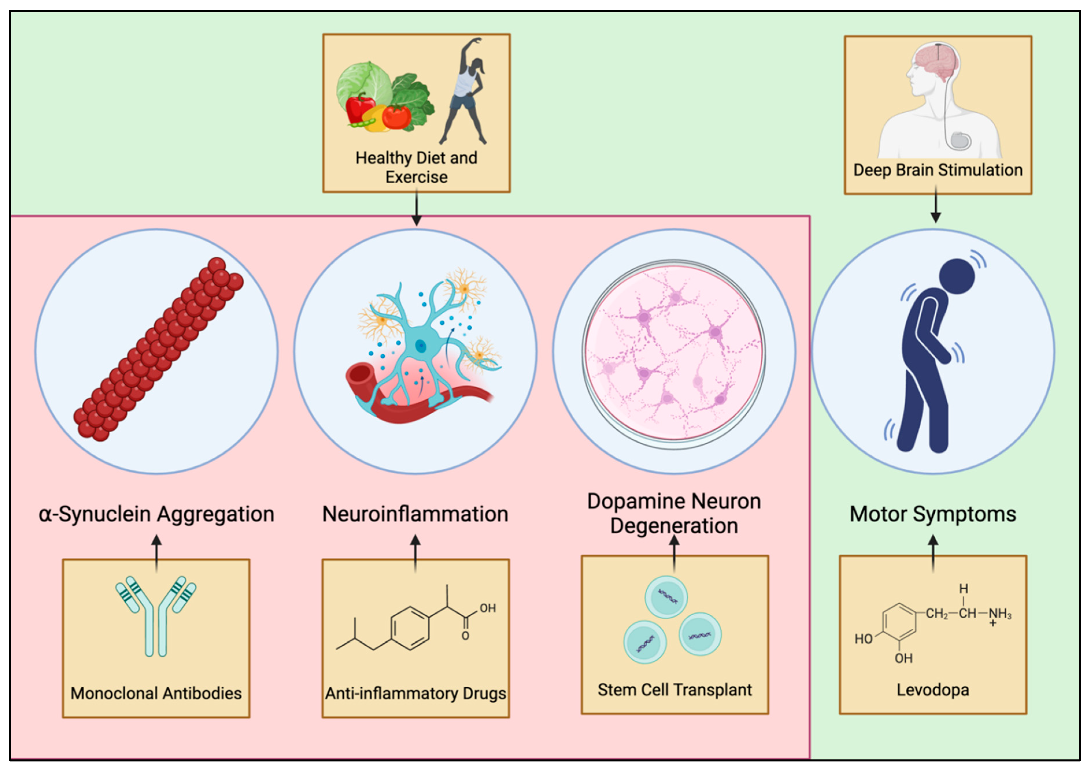 Neuroglia 06 00017 g004