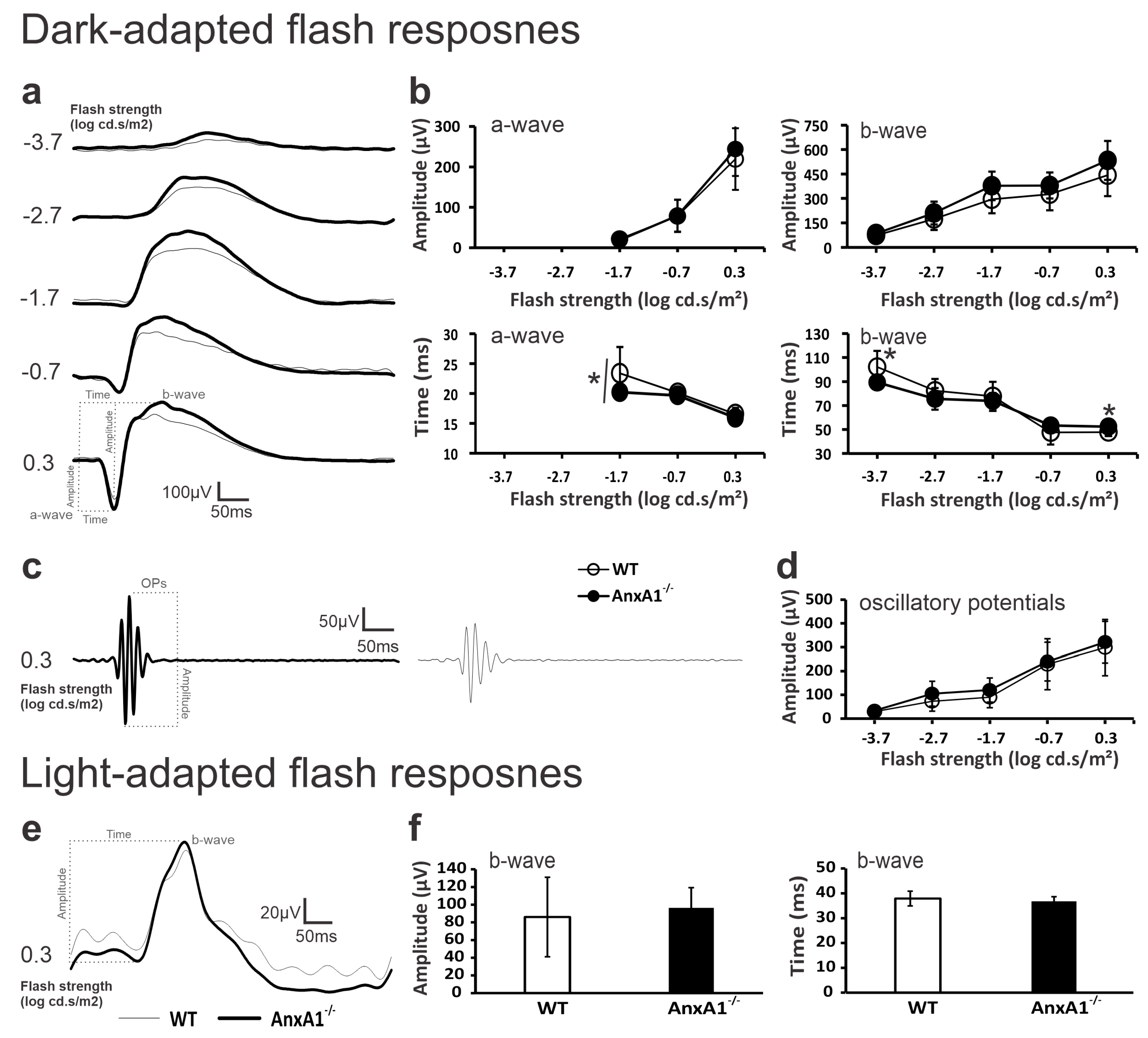 Neuroglia 06 00019 g001