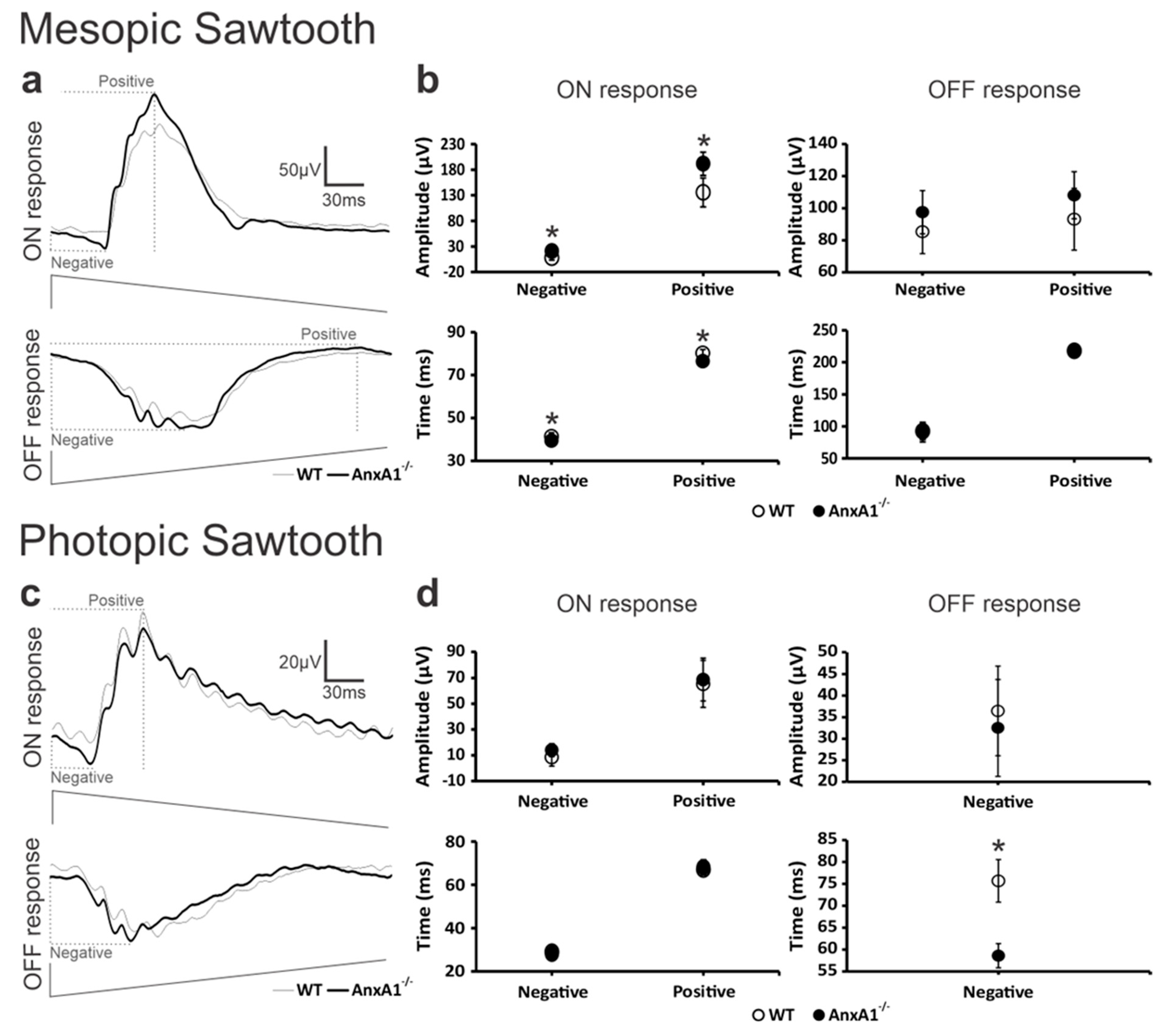 Neuroglia 06 00019 g002
