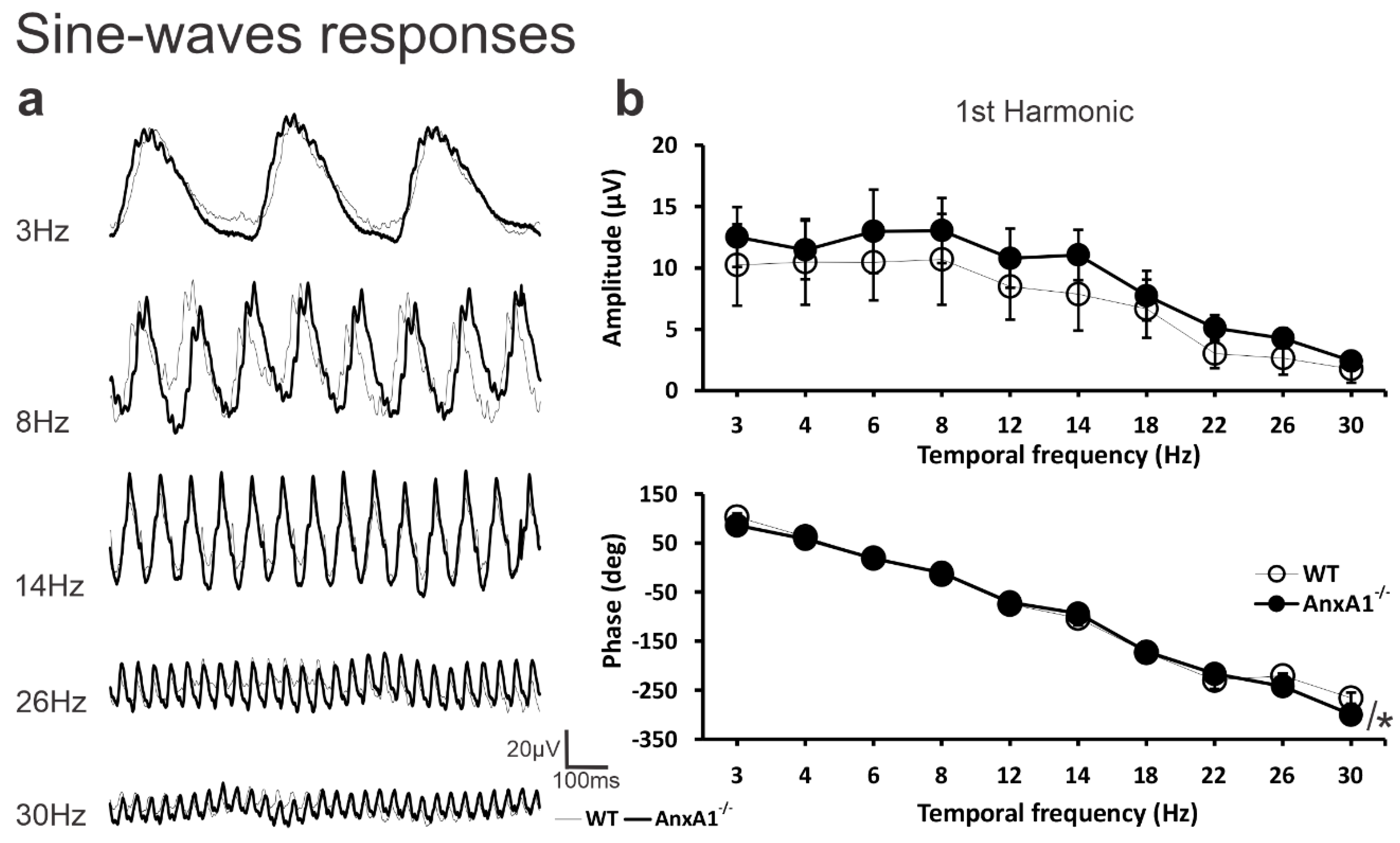 Neuroglia 06 00019 g003