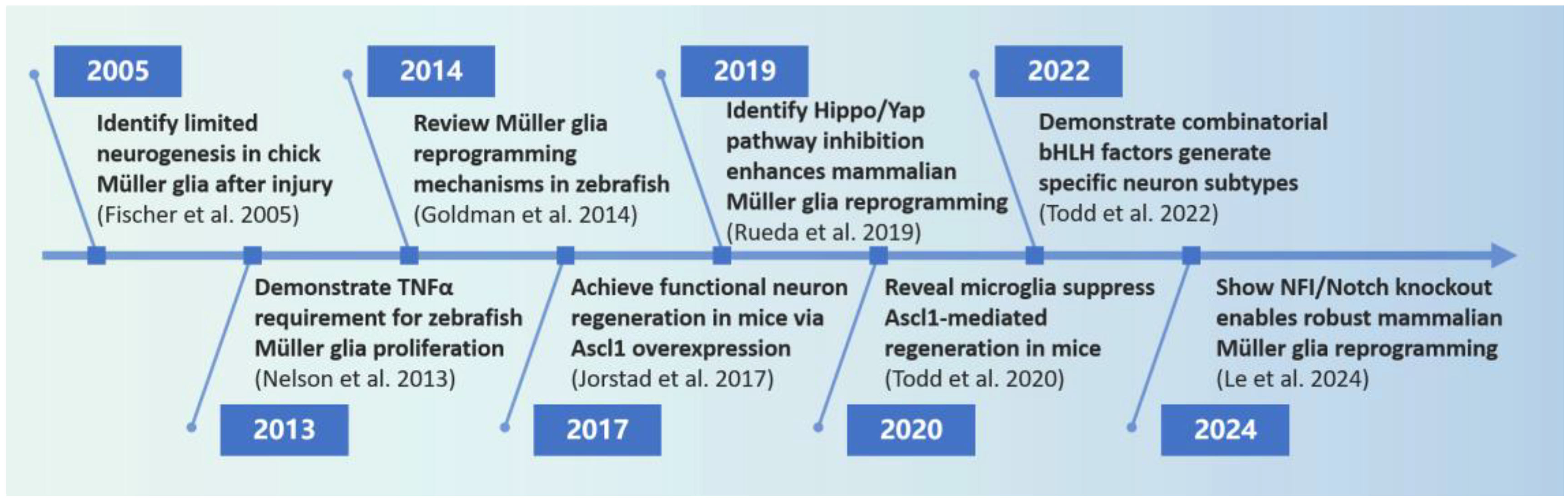 Neuroglia 06 00020 g001