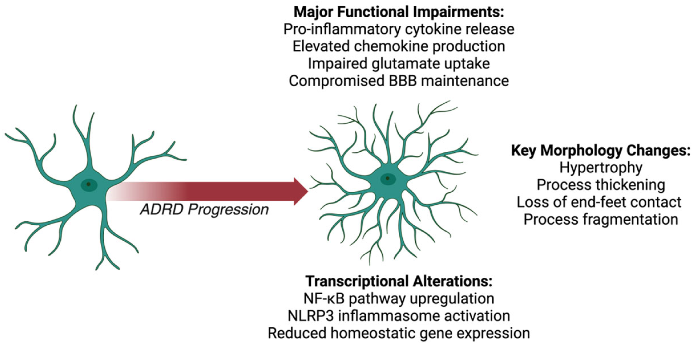 Neuroglia 06 00022 g001