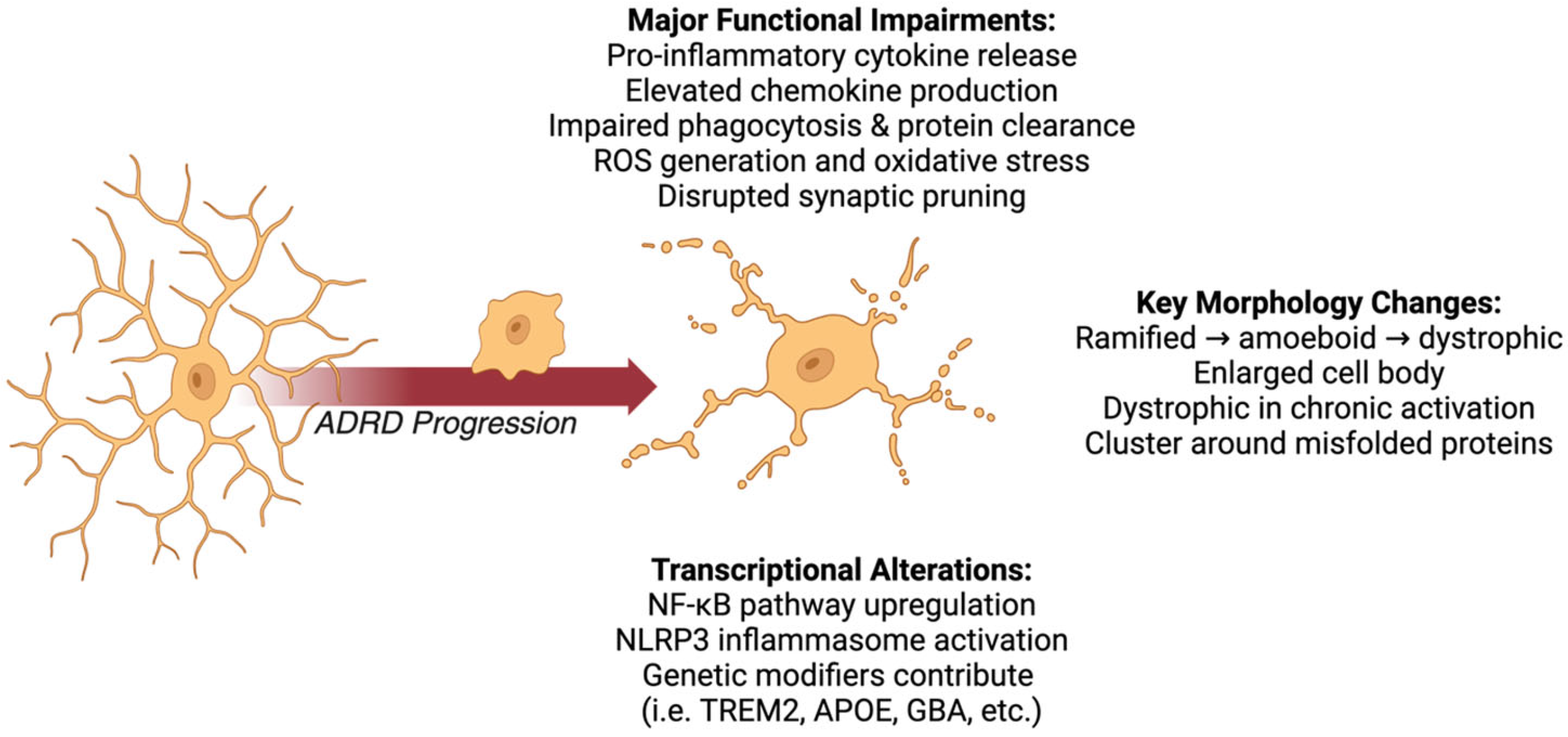 Neuroglia 06 00022 g002