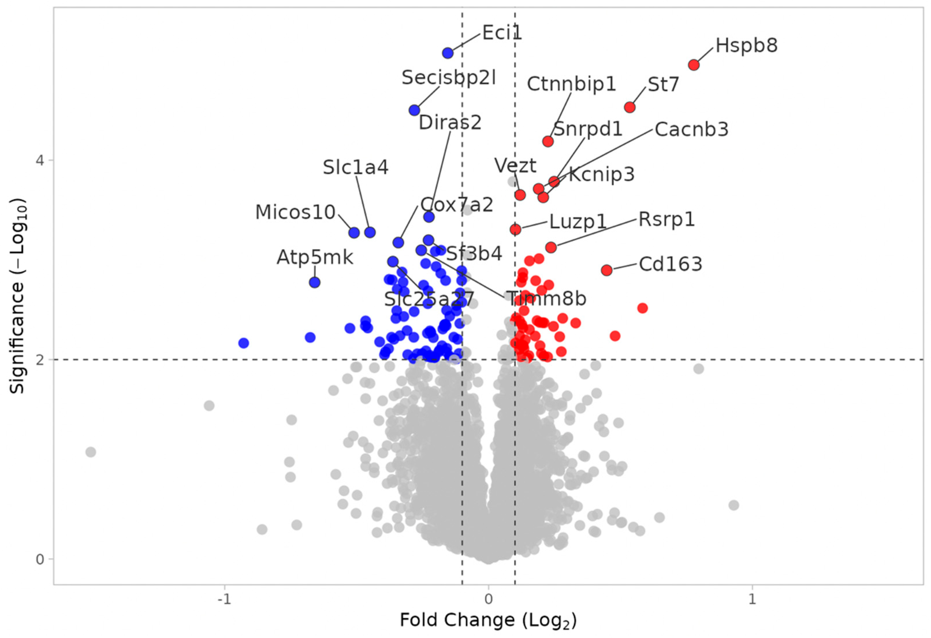Neuroglia 06 00033 g003 Neuroglia 06 00033 g003