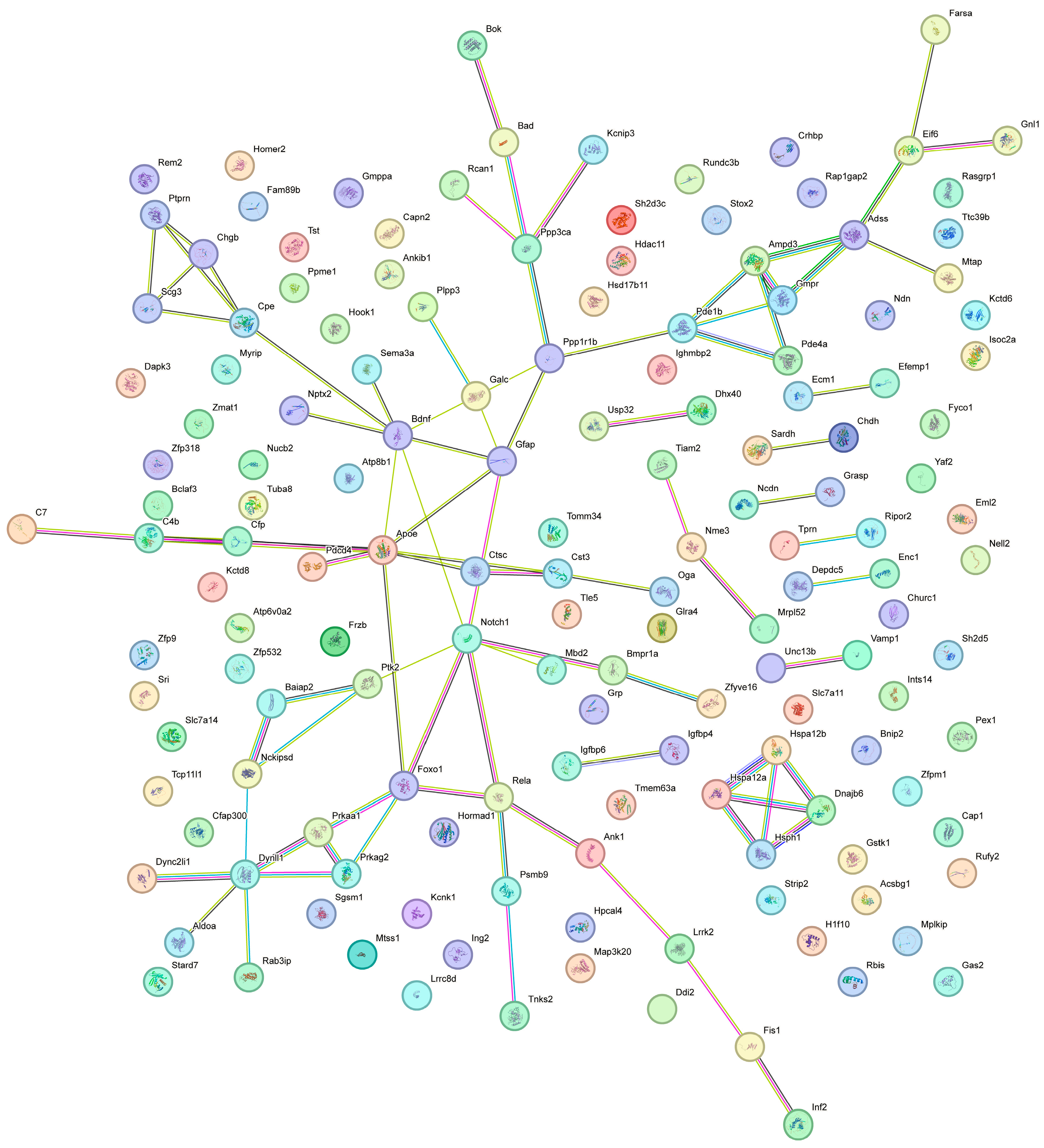 Neuroglia 06 00033 g006 Neuroglia 06 00033 g006
