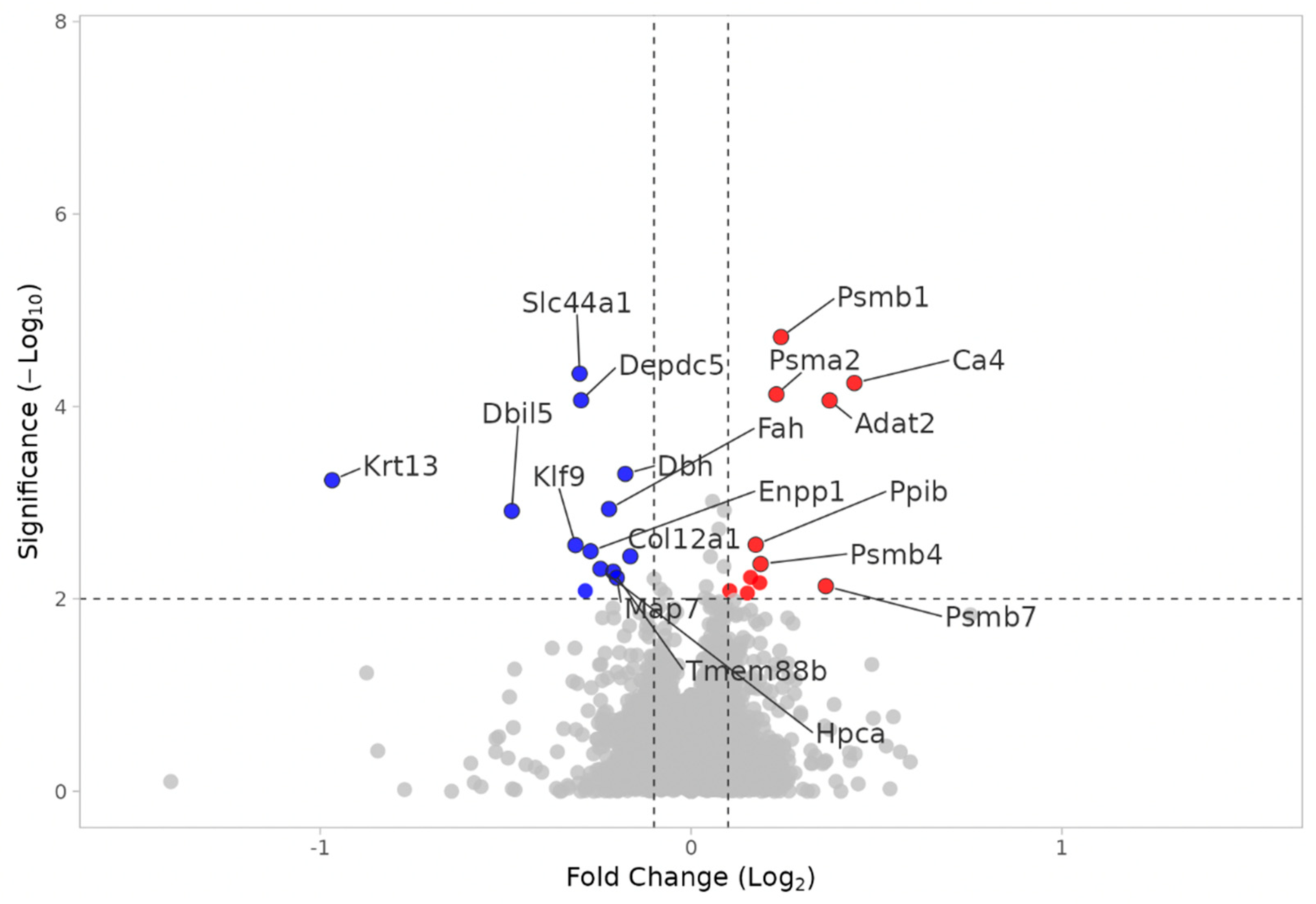 Neuroglia 06 00033 g007 Neuroglia 06 00033 g007