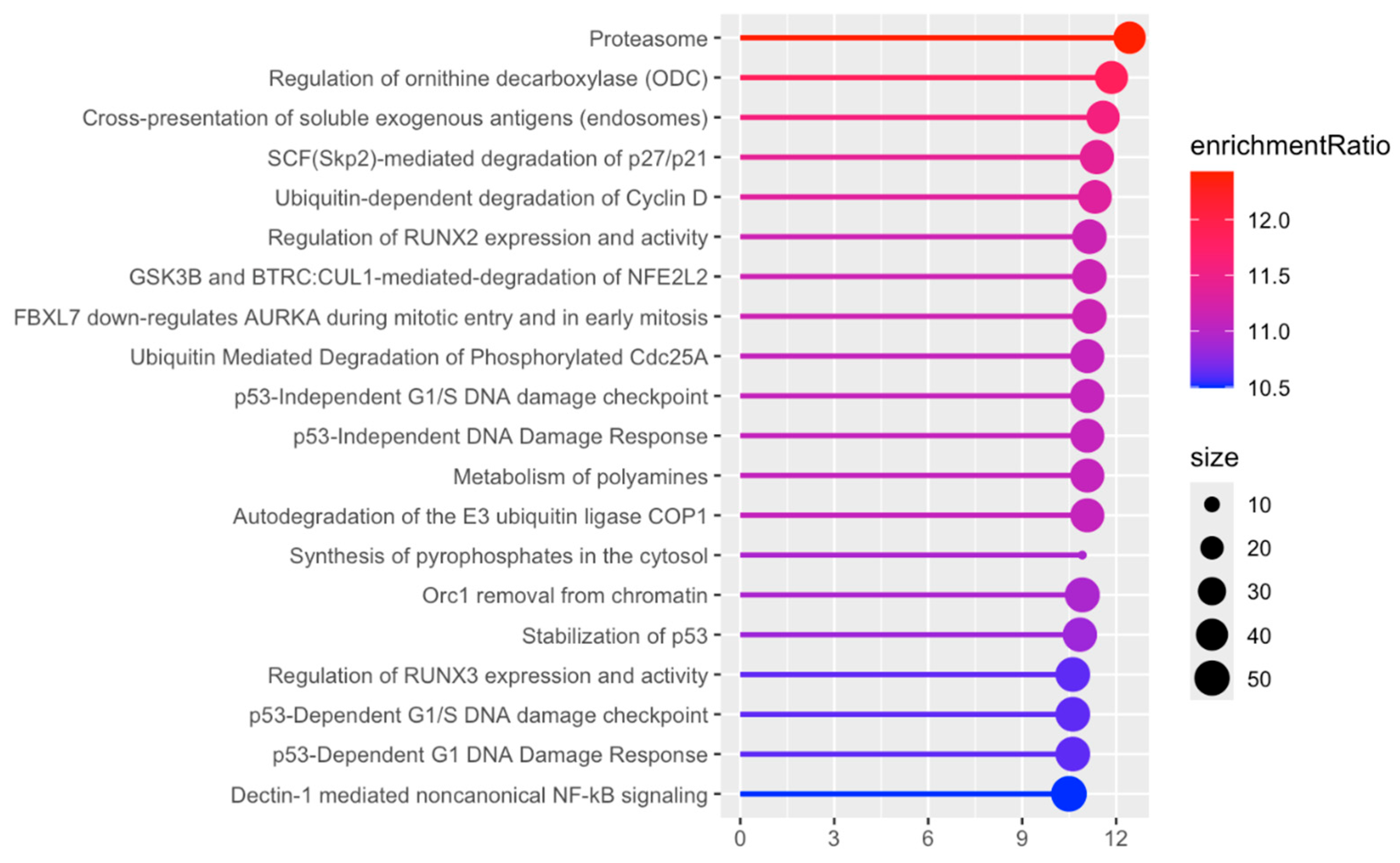 Neuroglia 06 00033 g008 Neuroglia 06 00033 g008
