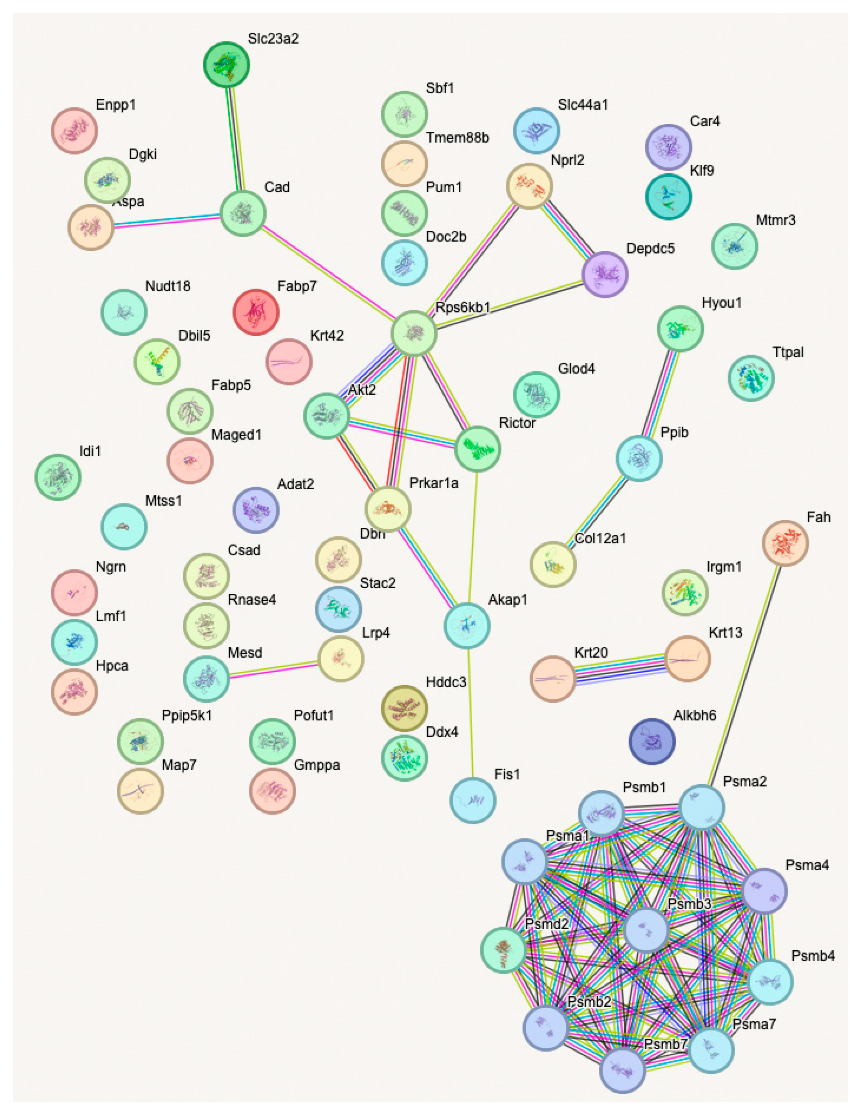 Neuroglia 06 00033 g009 Neuroglia 06 00033 g009