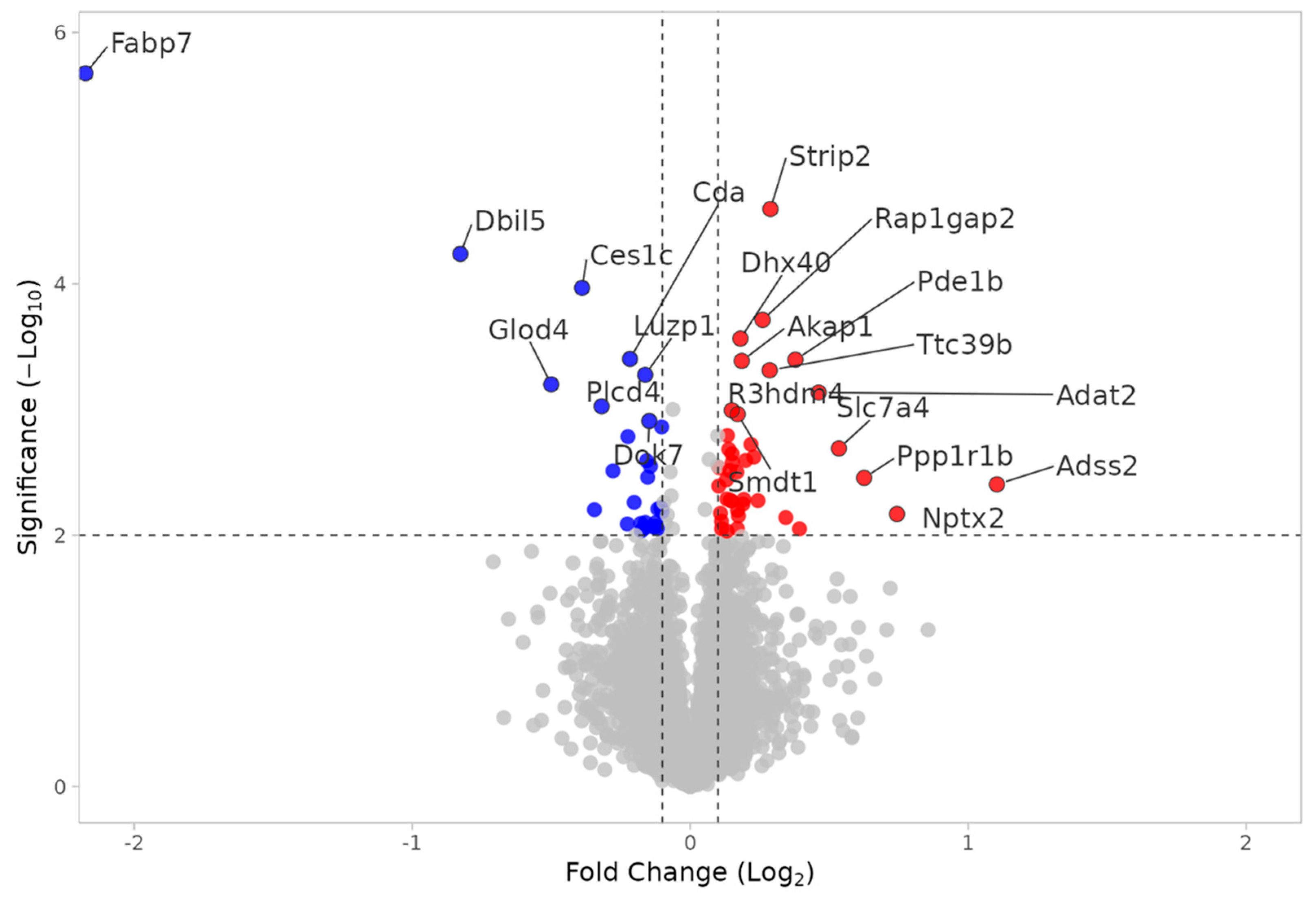 Neuroglia 06 00033 g010 Neuroglia 06 00033 g010