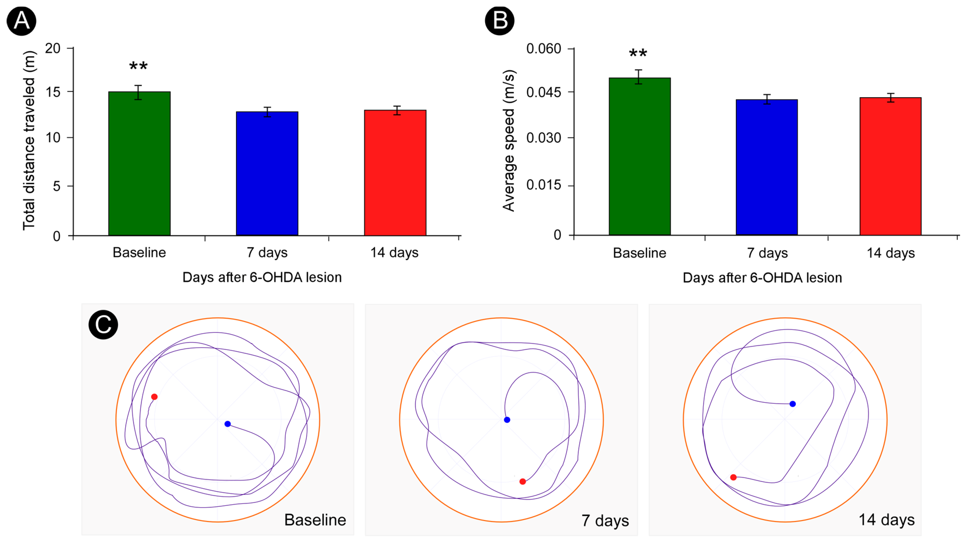 Neuroglia 06 00036 g002 Neuroglia 06 00036 g002