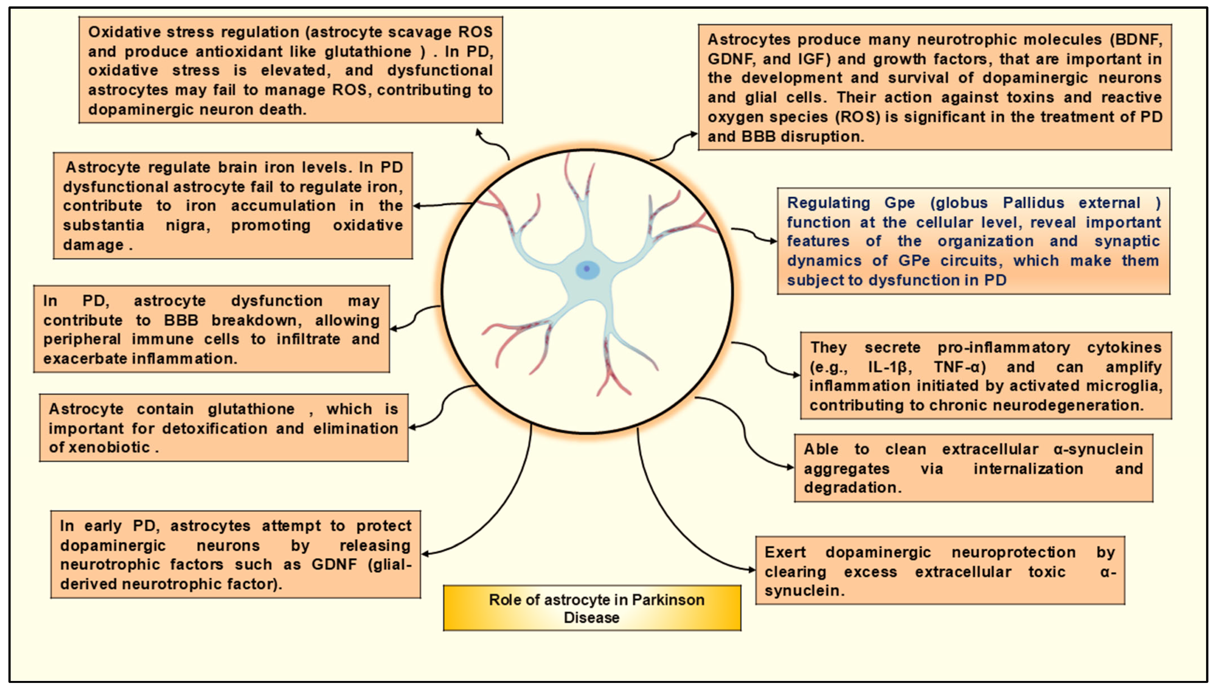 Neuroglia 06 00038 g005 Neuroglia 06 00038 g005