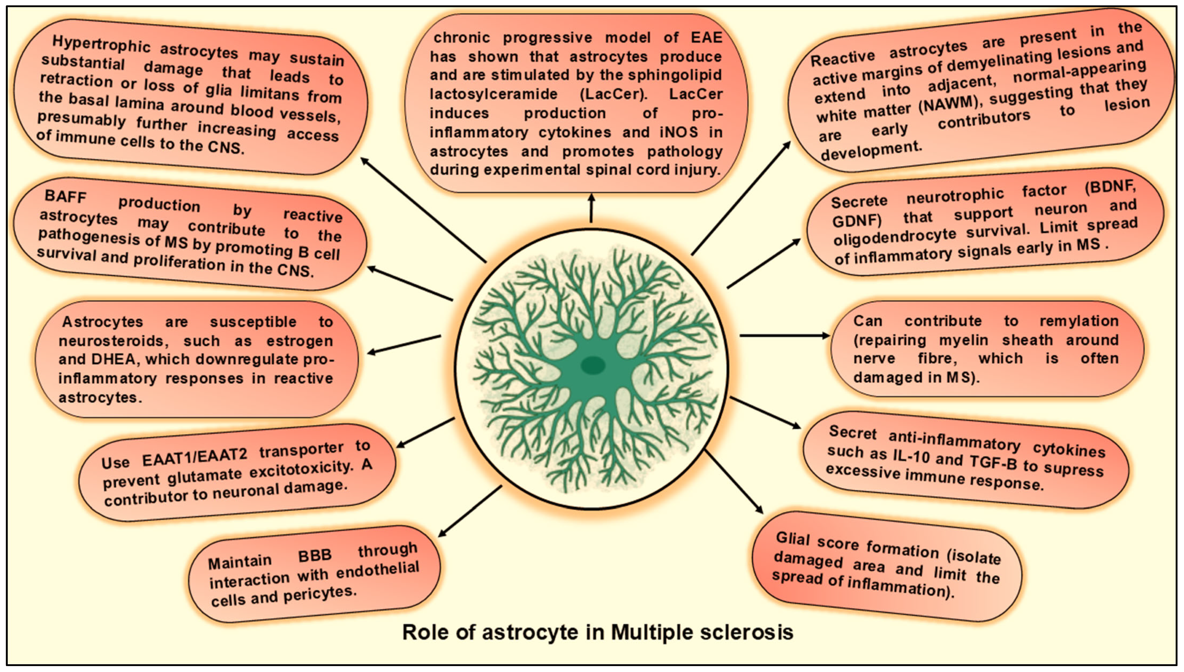 Neuroglia 06 00038 g008 Neuroglia 06 00038 g008