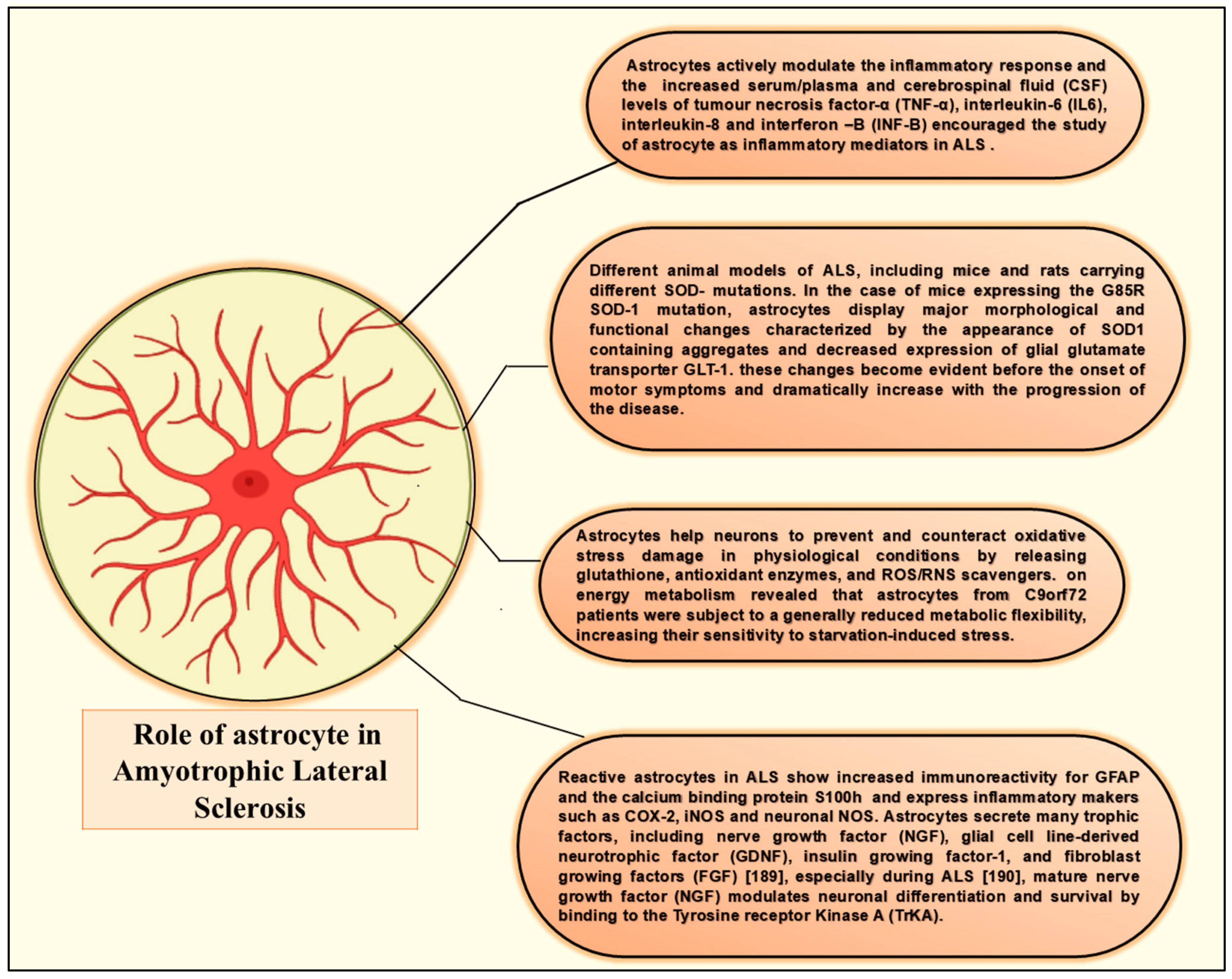 Neuroglia 06 00038 g009 Neuroglia 06 00038 g009