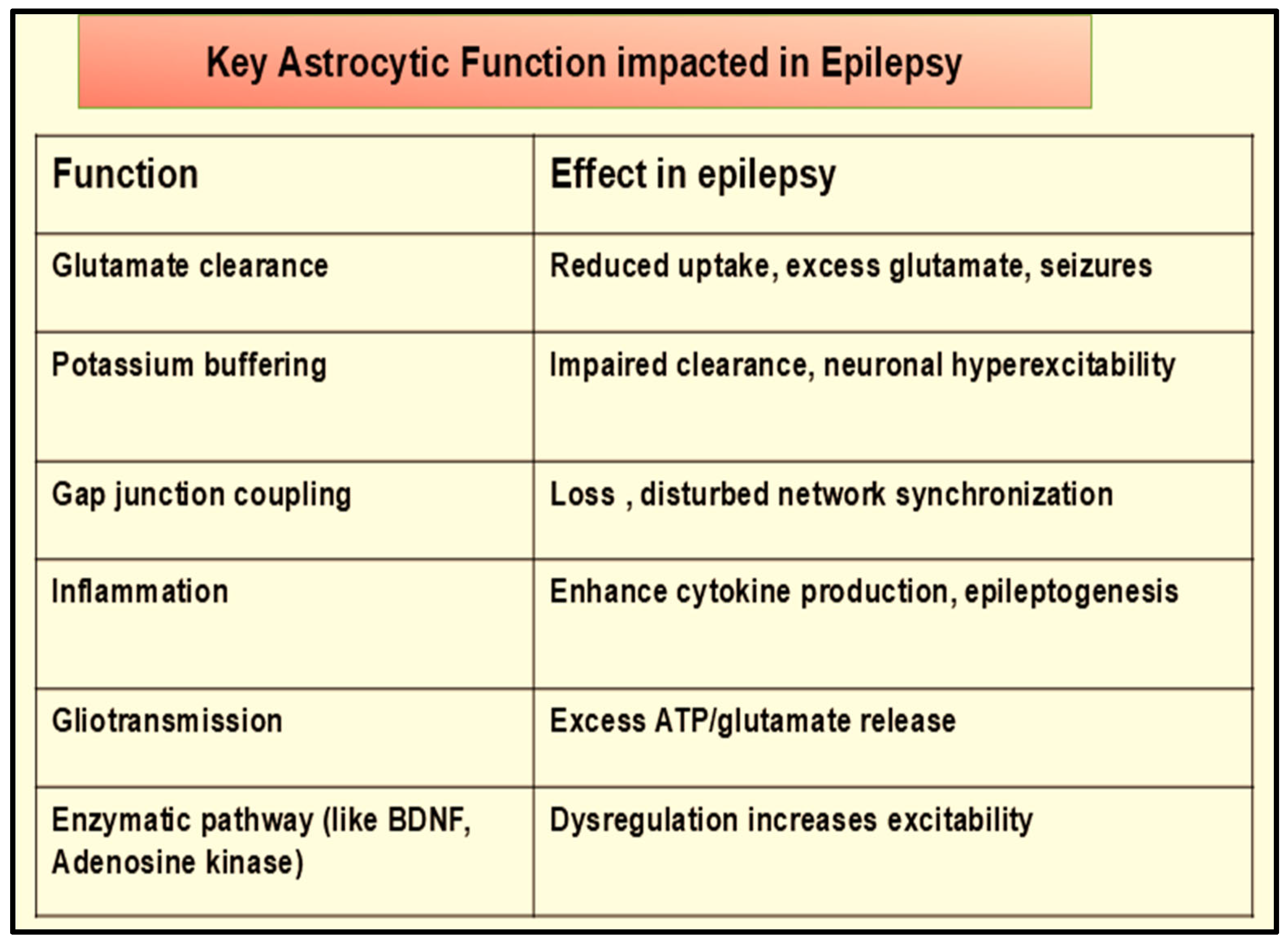 Neuroglia 06 00038 g010 Neuroglia 06 00038 g010