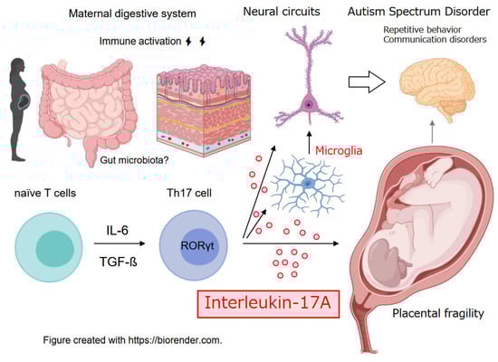 Neuroglia 06 00045 g001