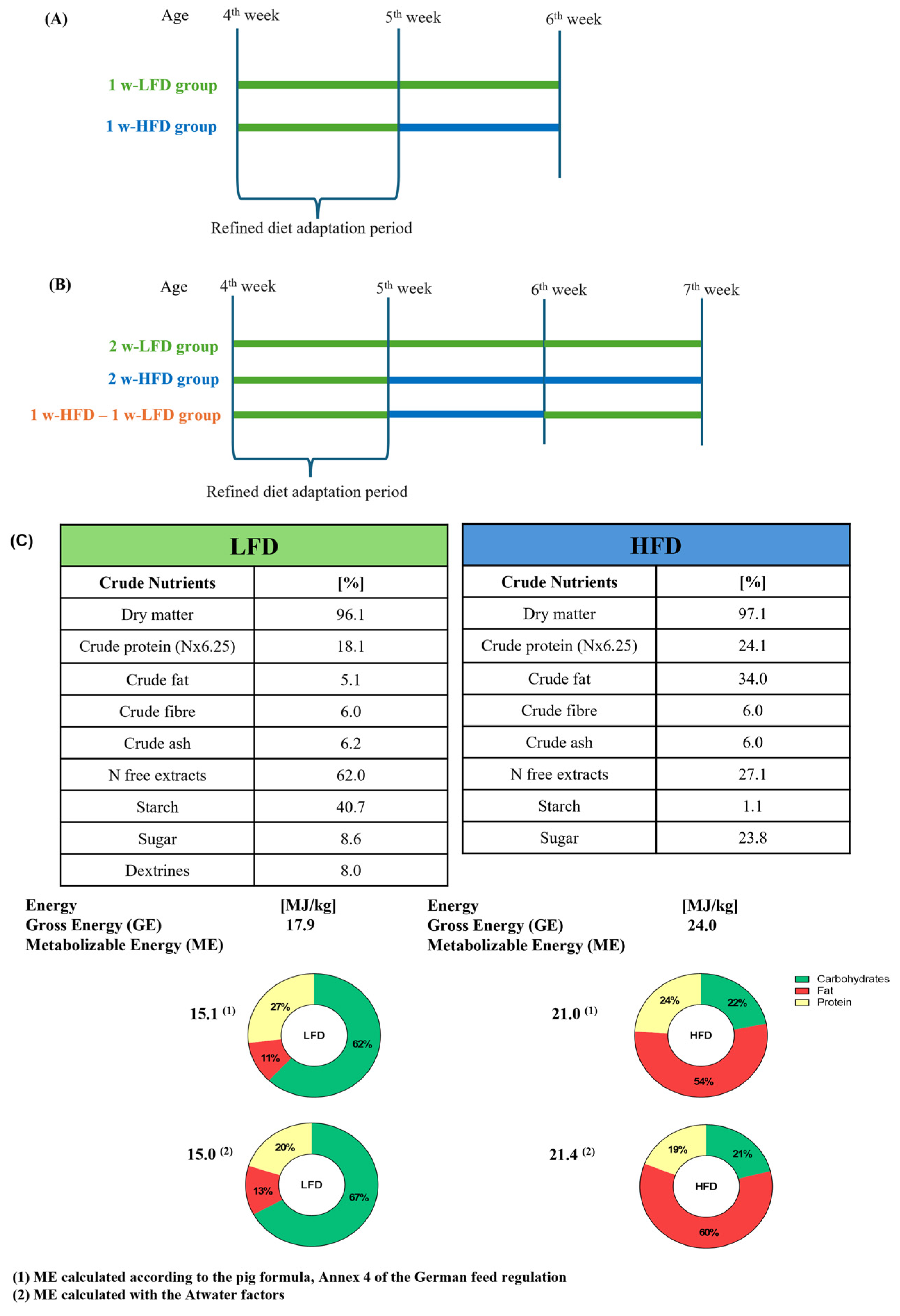 Neuroglia 07 00002 g001
