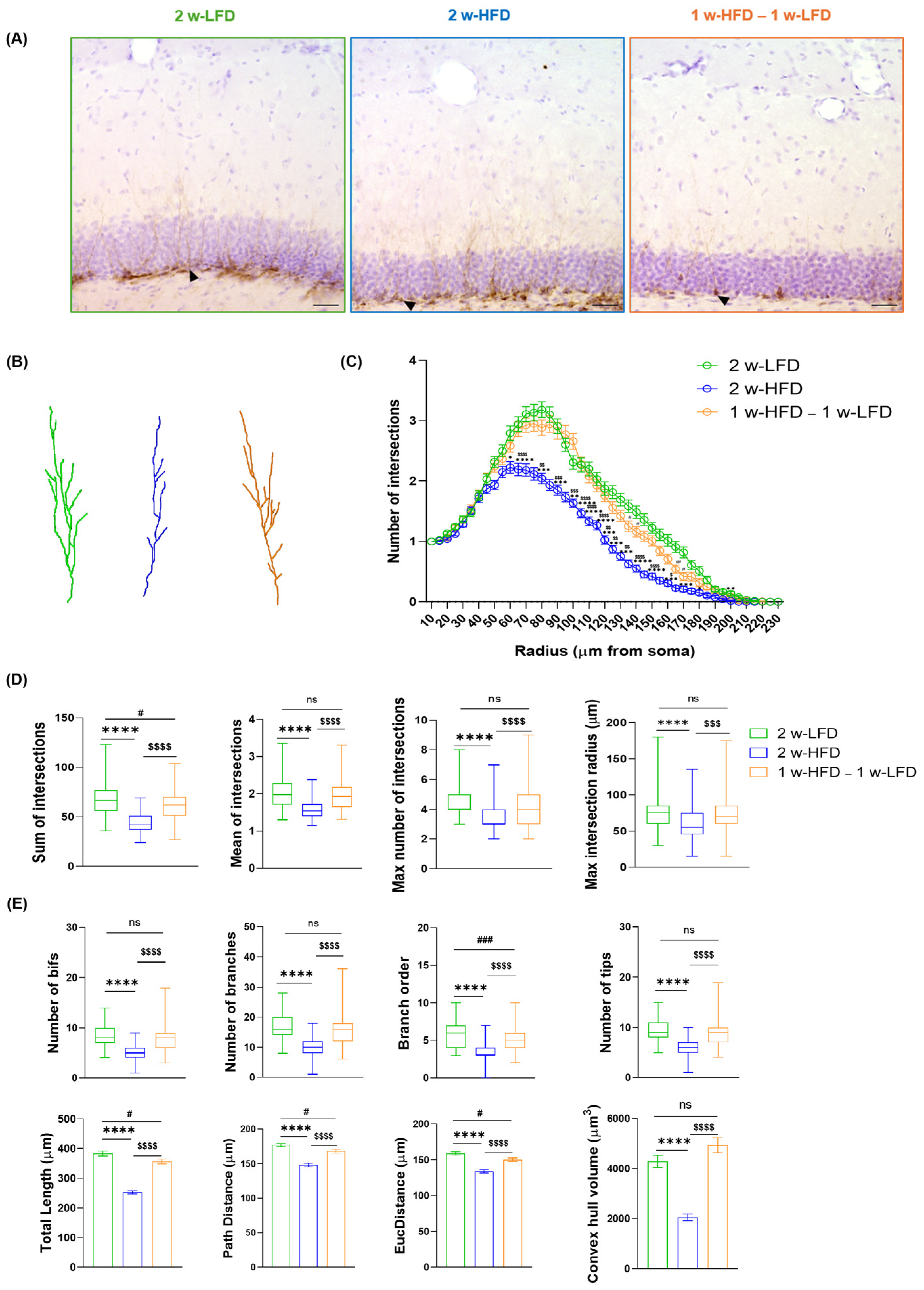 Neuroglia 07 00002 g006