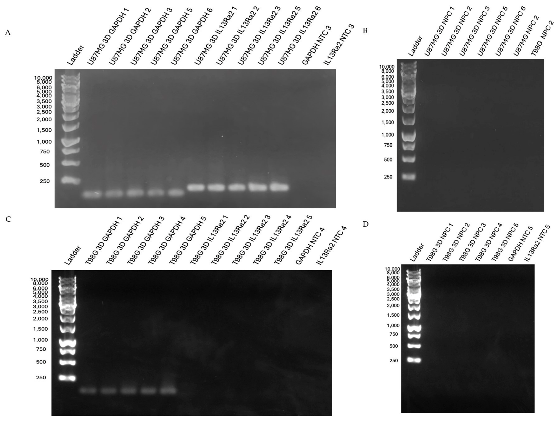 Neuroglia 07 00037 g0a3 Neuroglia 07 00037 g0a3