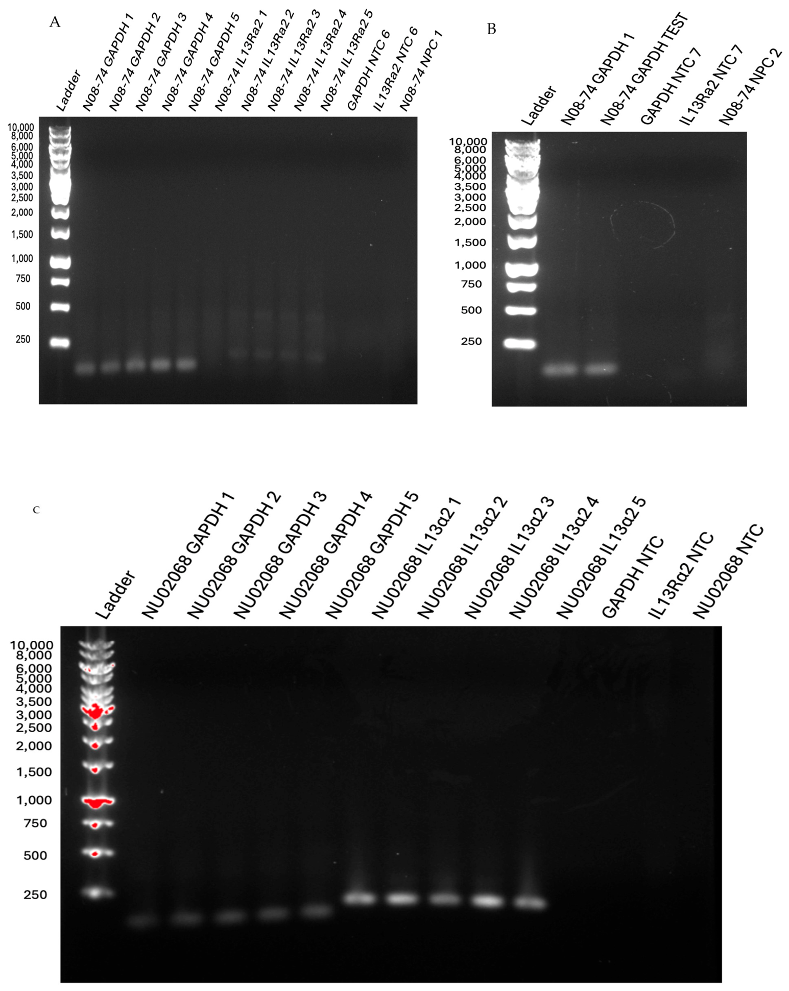 Neuroglia 07 00037 g0a4 Neuroglia 07 00037 g0a4