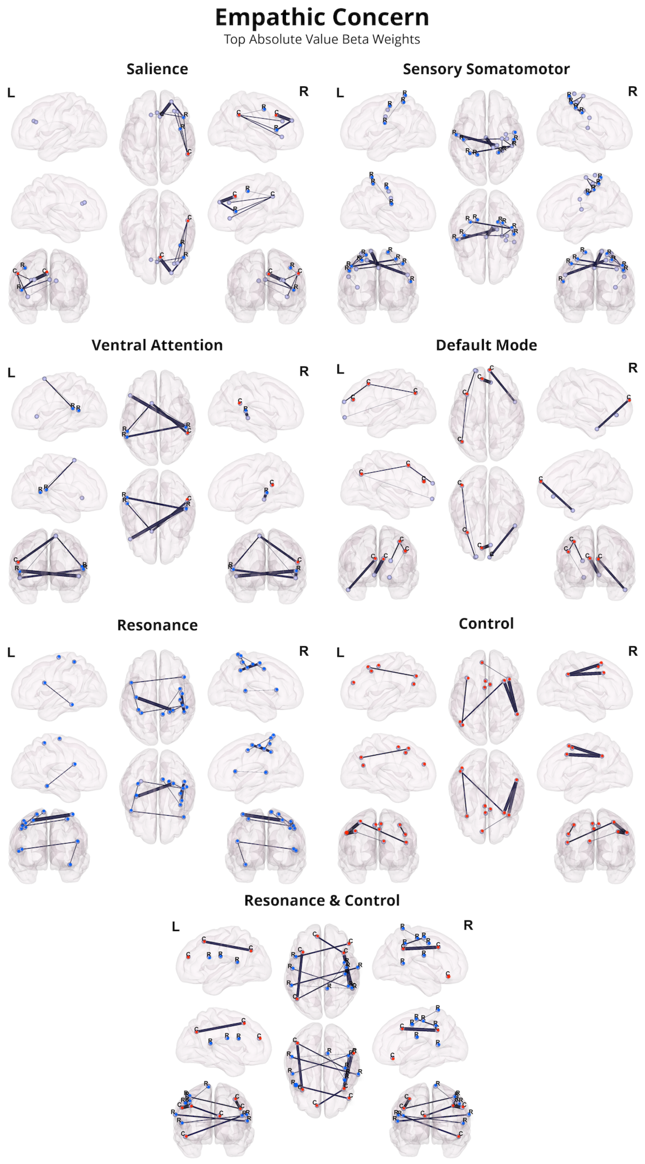 Neuroimaging 01 00011 g003 Neuroimaging 01 00011 g003