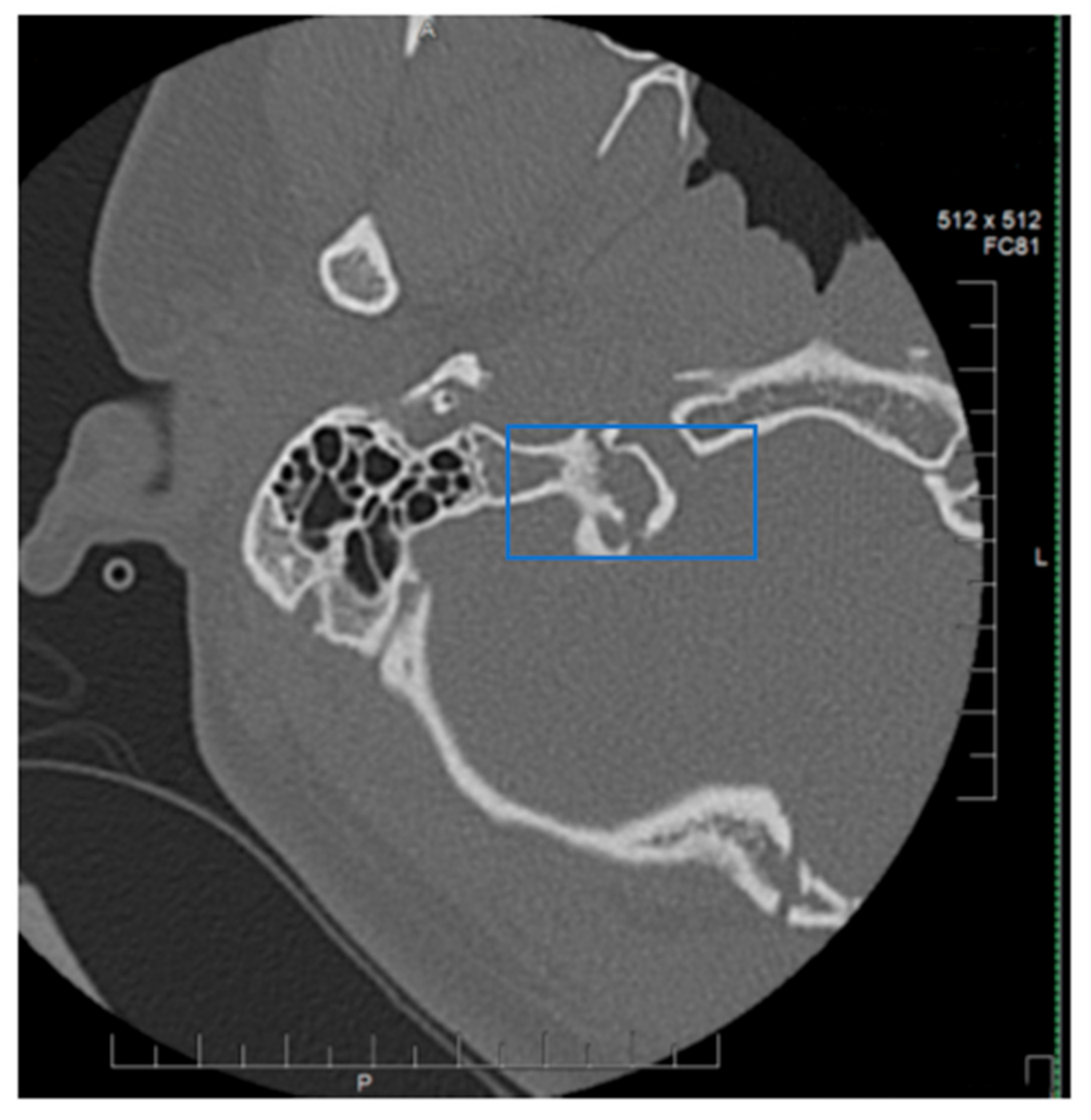 Neurolint 12 00019 g002