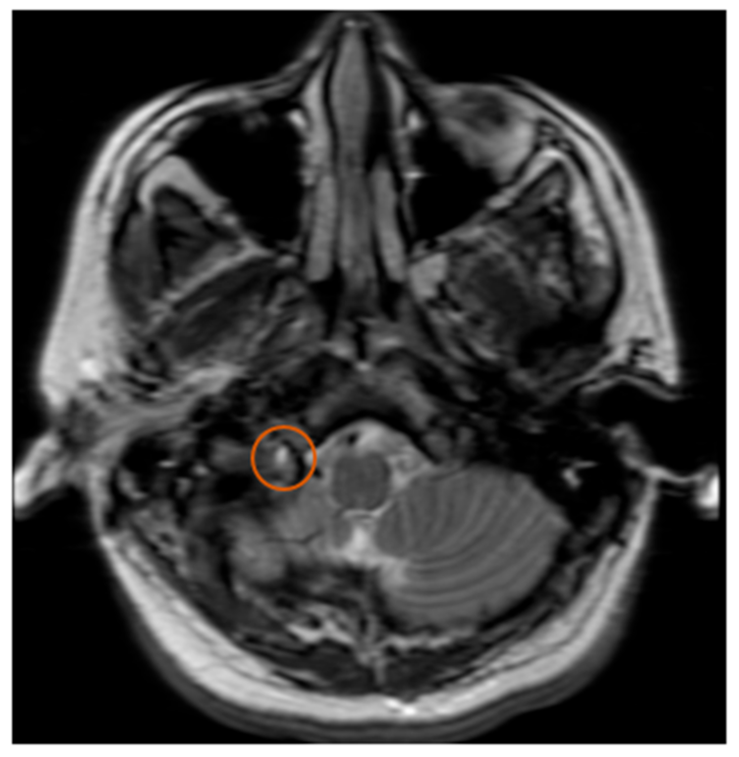 Neurolint 12 00019 g003