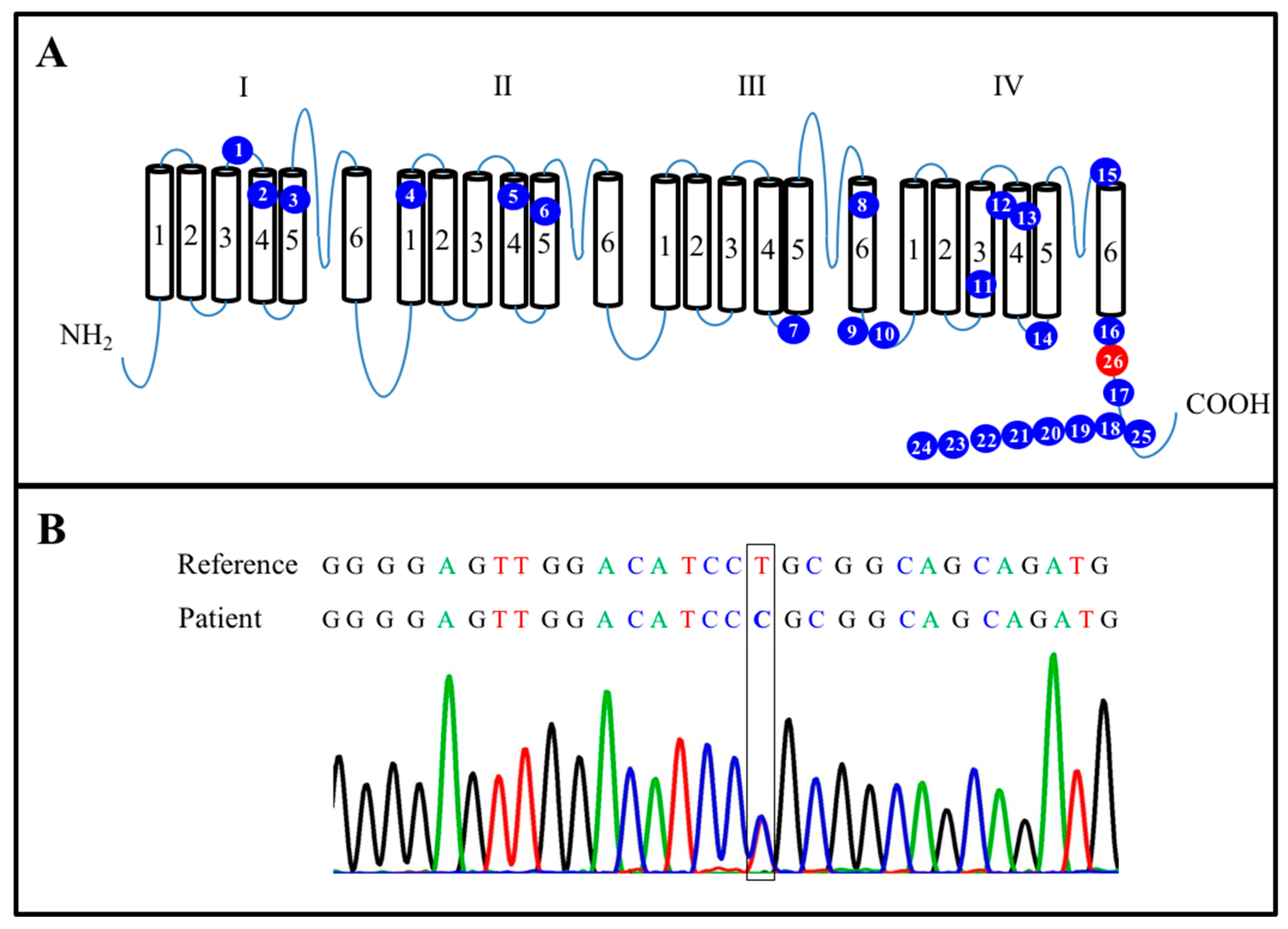 Neurolint 13 00014 g001