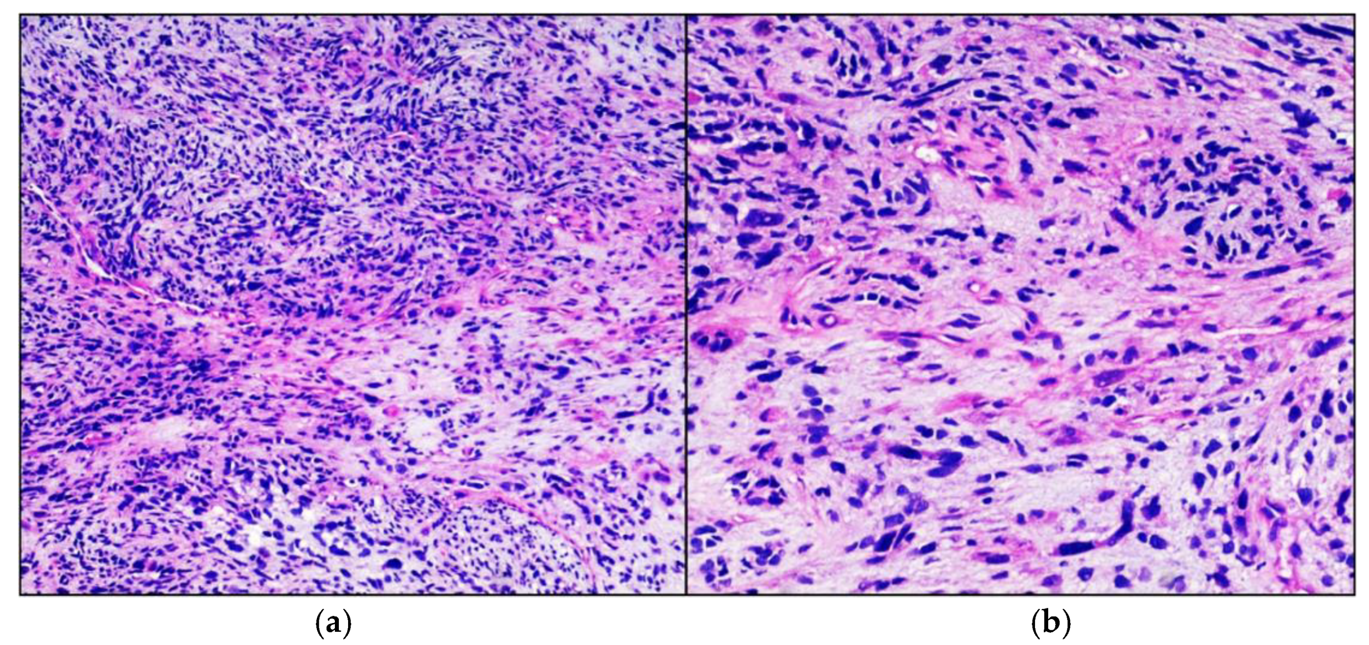 Neurolint 13 00017 g001