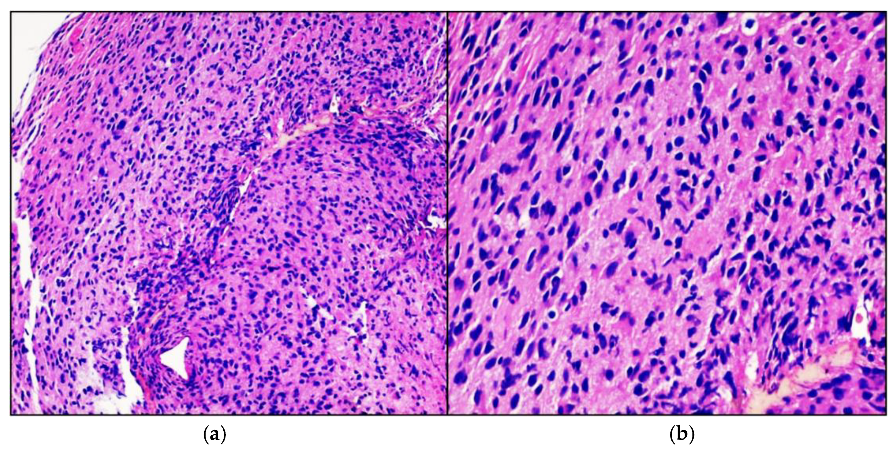 Neurolint 13 00017 g003