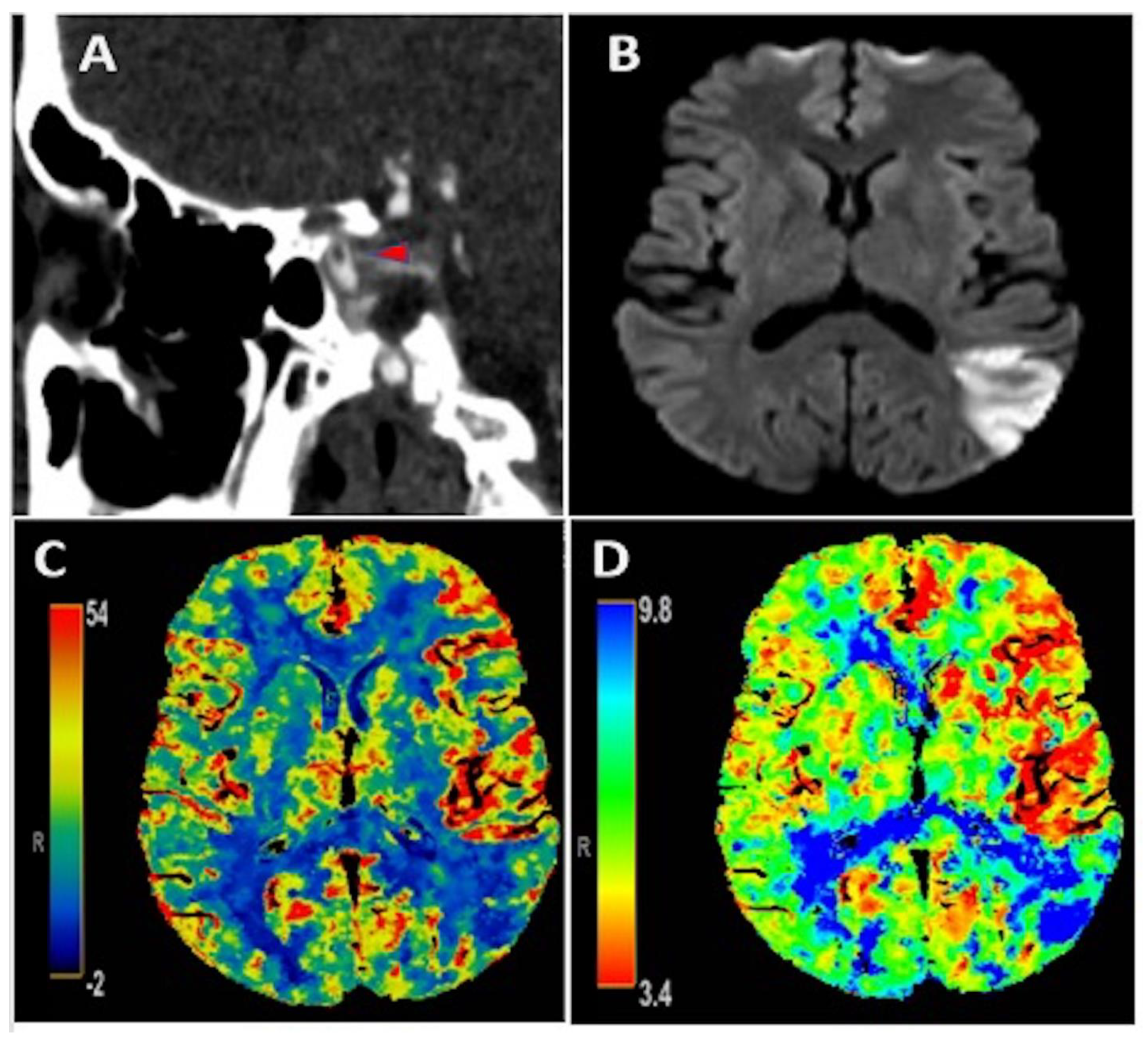 Neurolint 13 00027 g001 Neurolint 13 00027 g001
