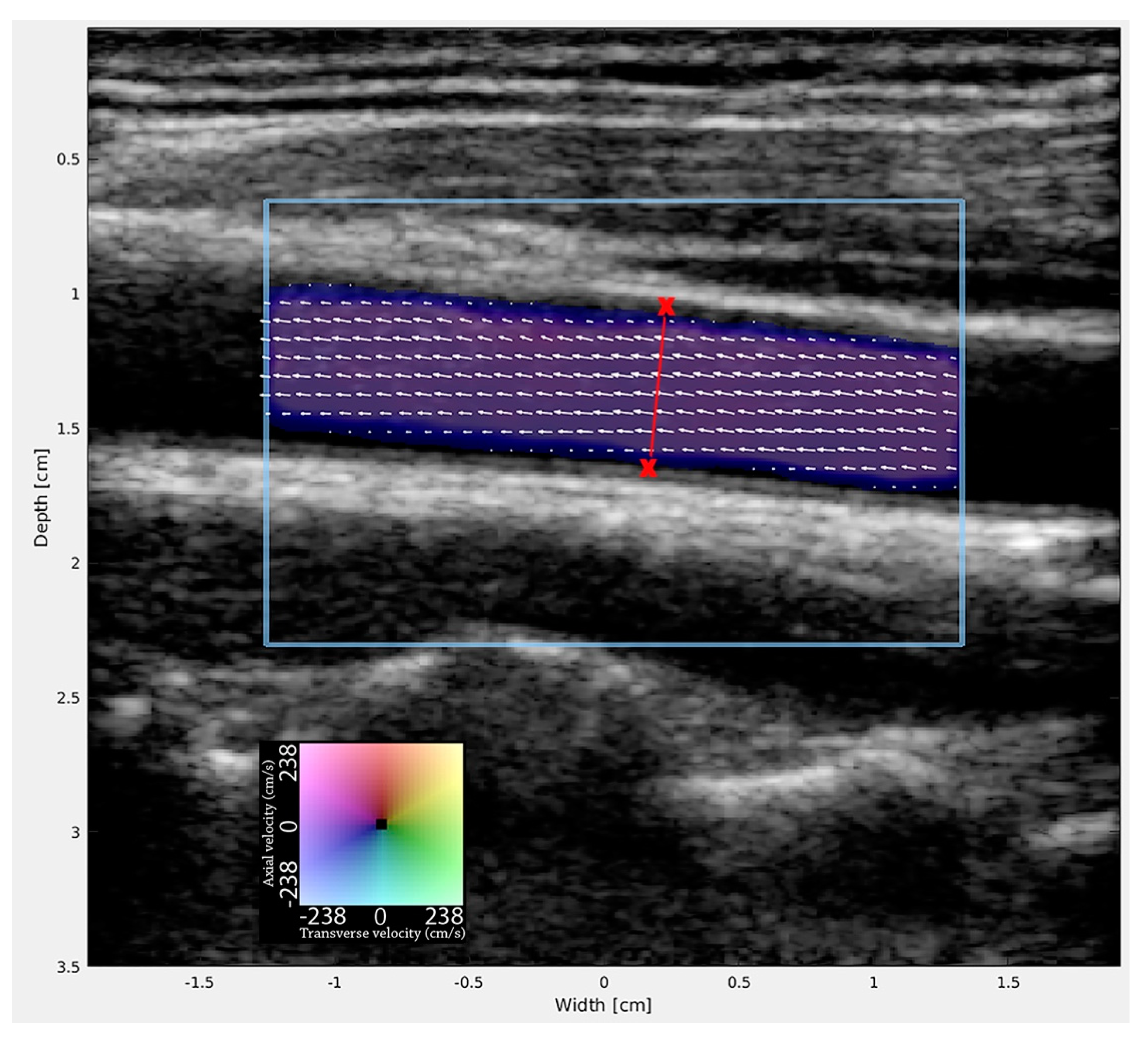 Neurolint 13 00028 g001