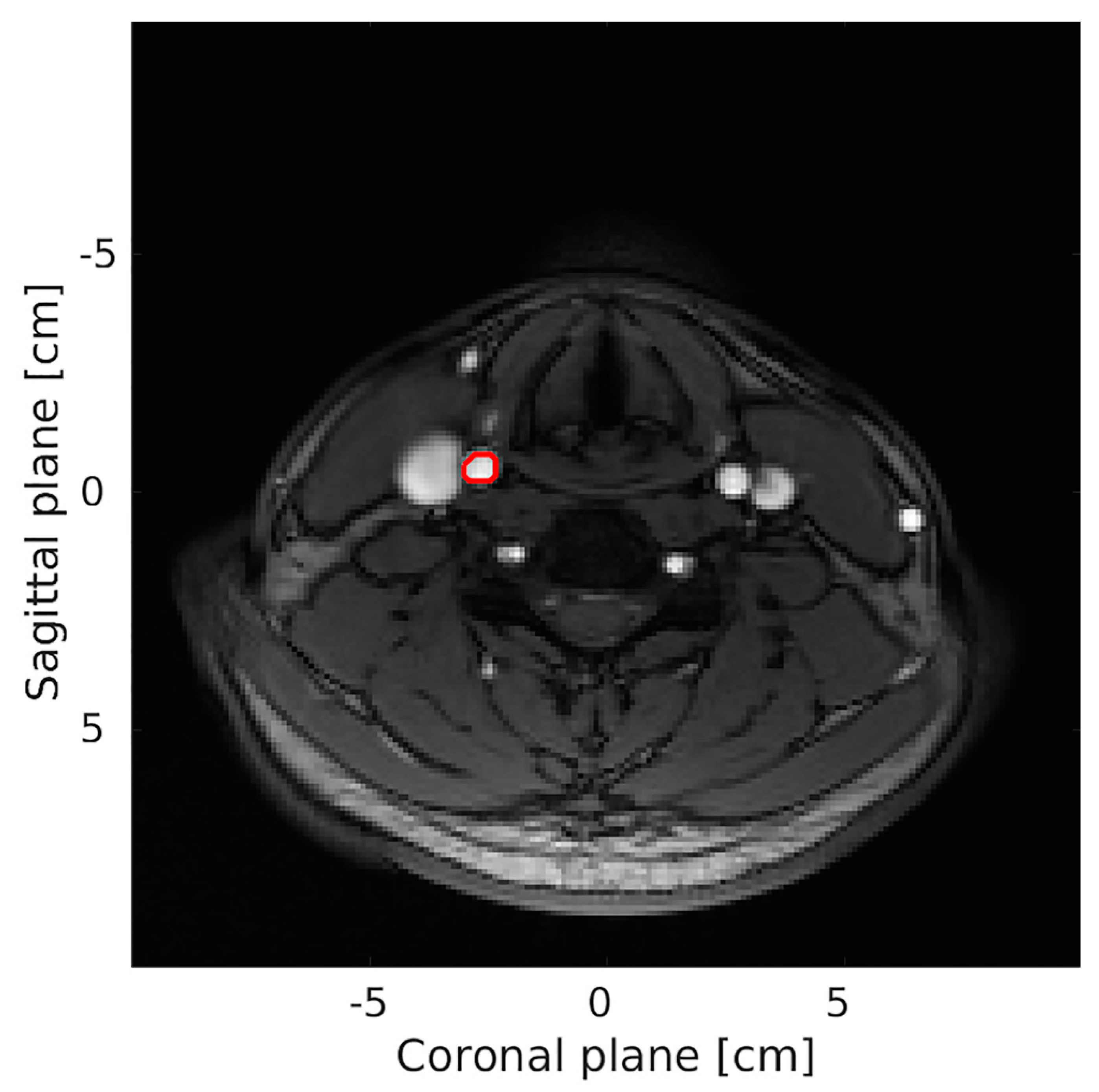 Neurolint 13 00028 g002