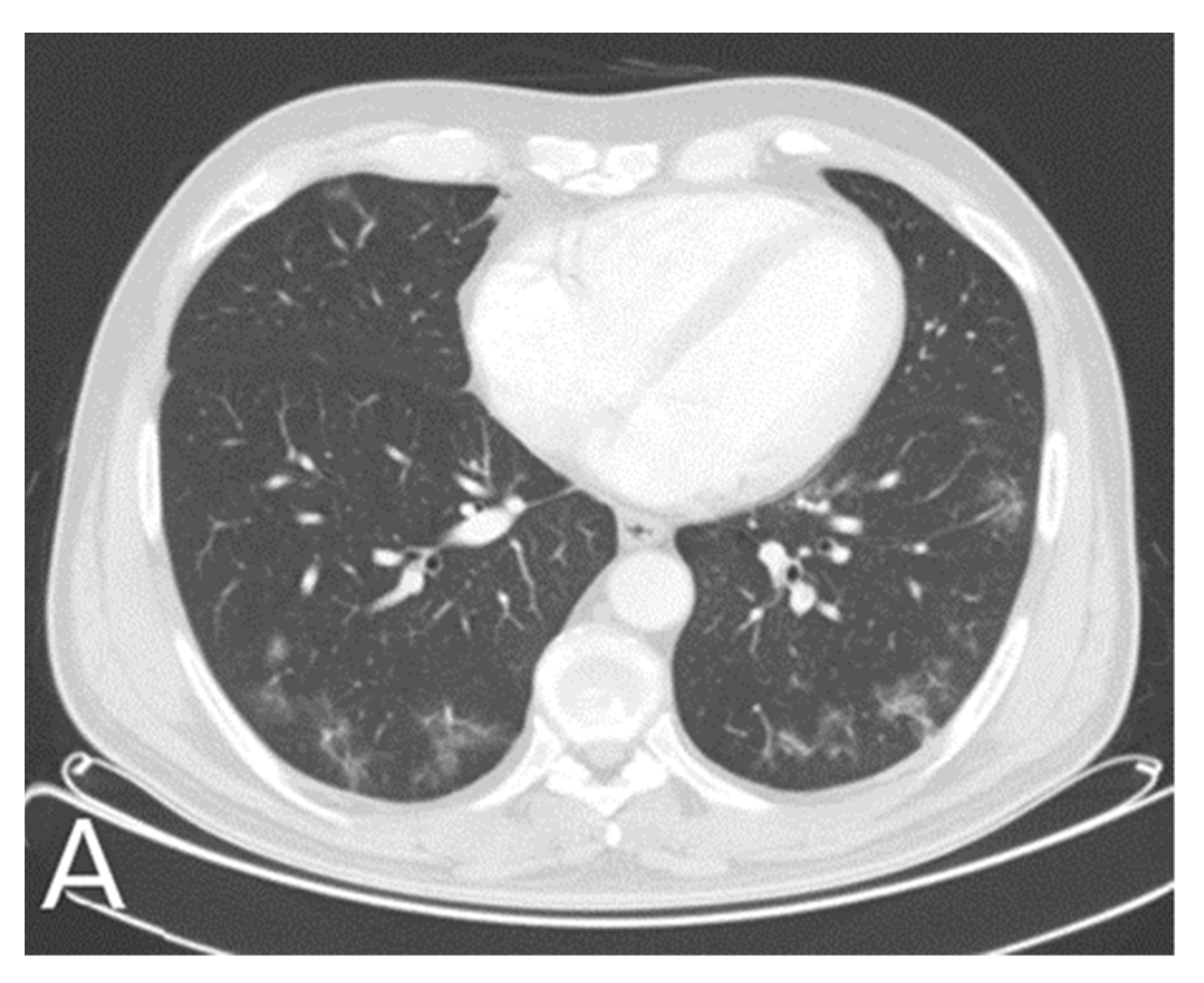 Neurolint 13 00033 g001